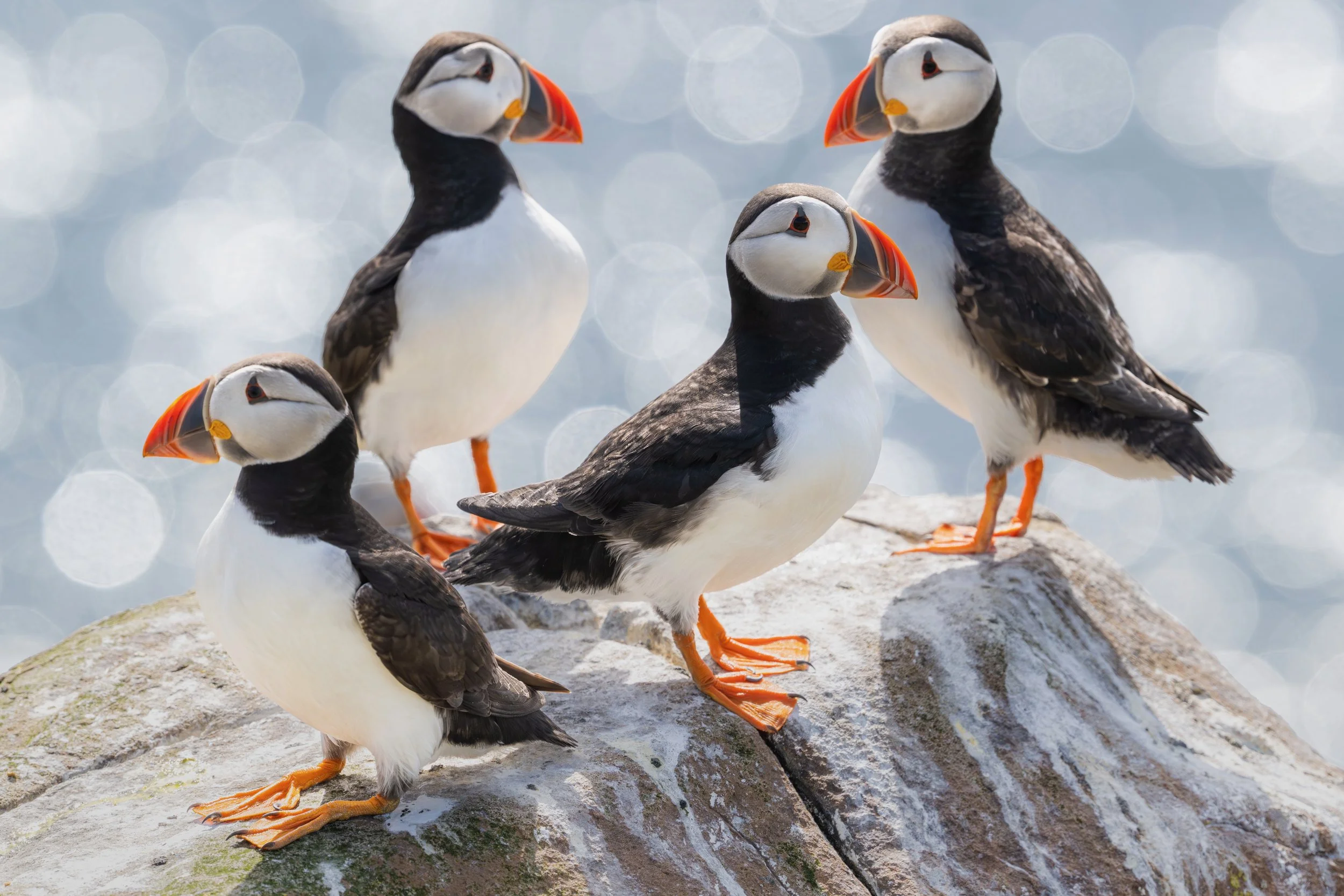 It's also a great opportunity to think about composition © Rachel Bigsby