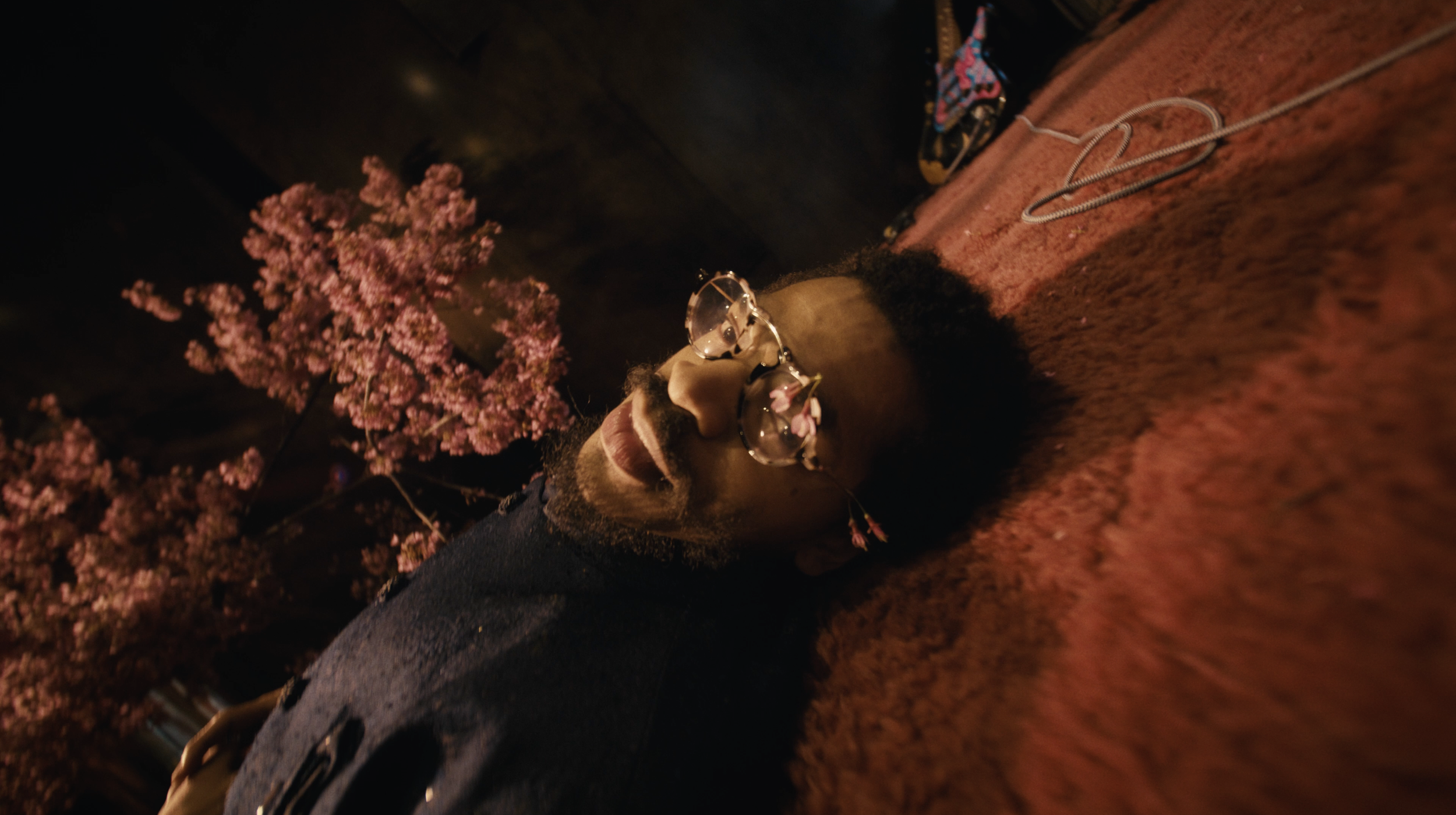 A Bloom Still 1.png
