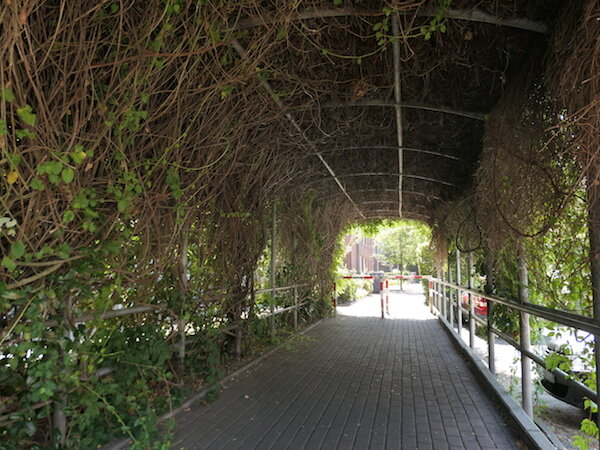 Noise Tunnel