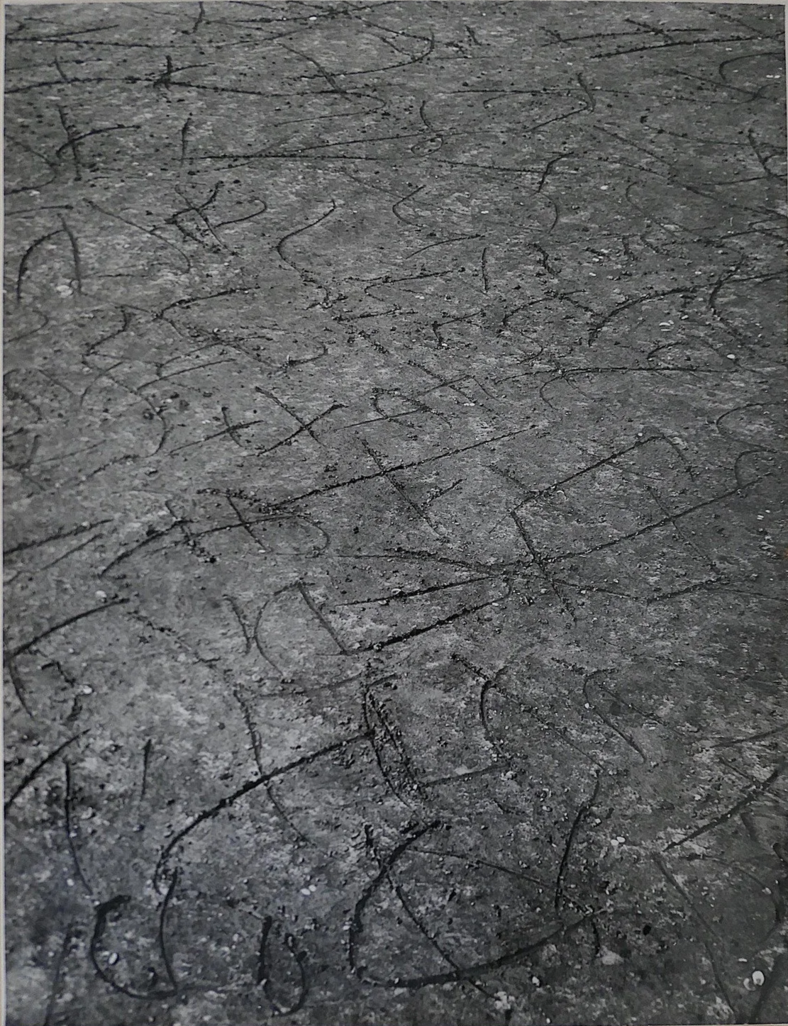 Landscape Description