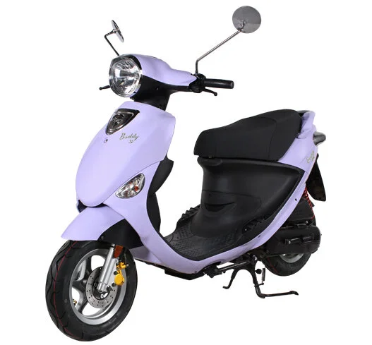 buddy50-lavender.jpg