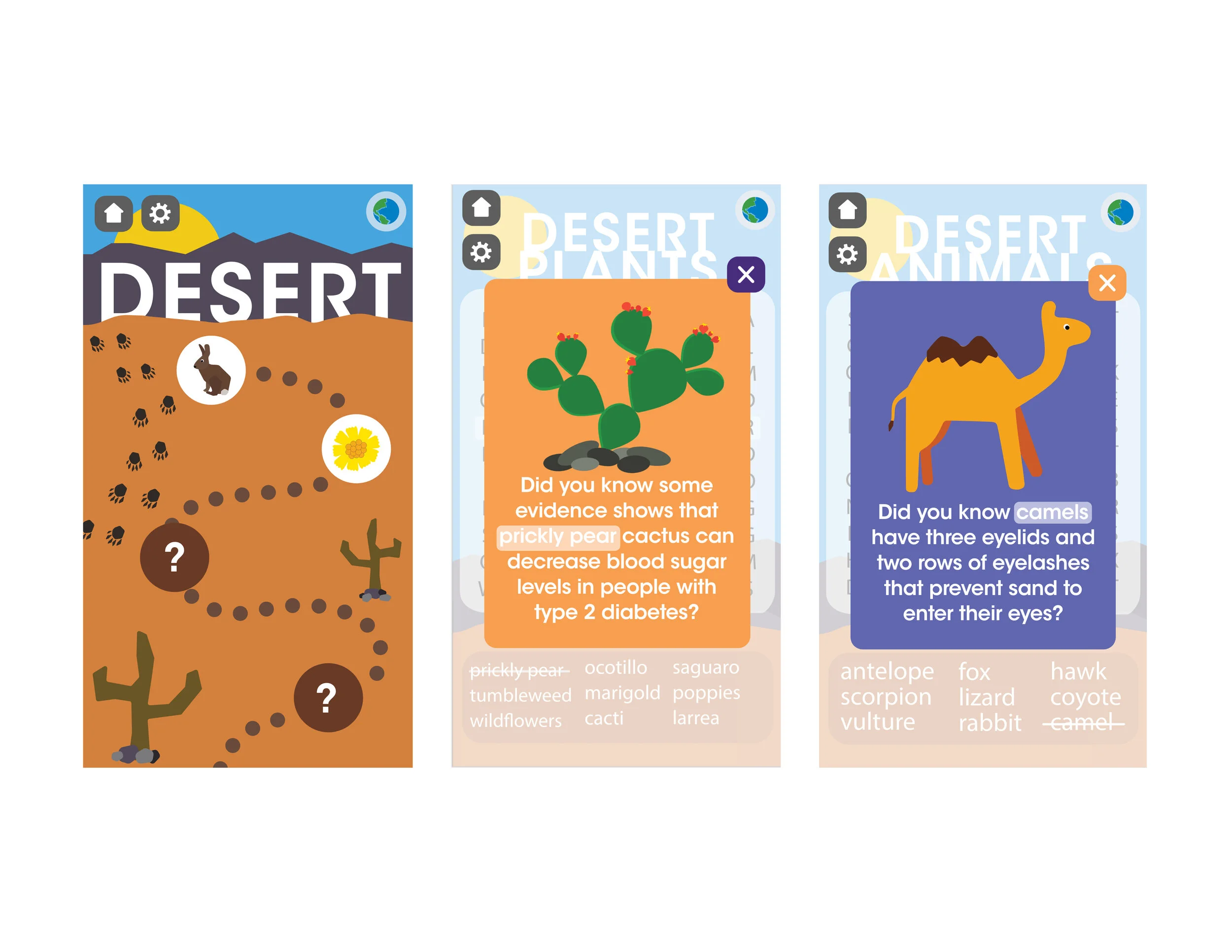 website screen boards.jpg