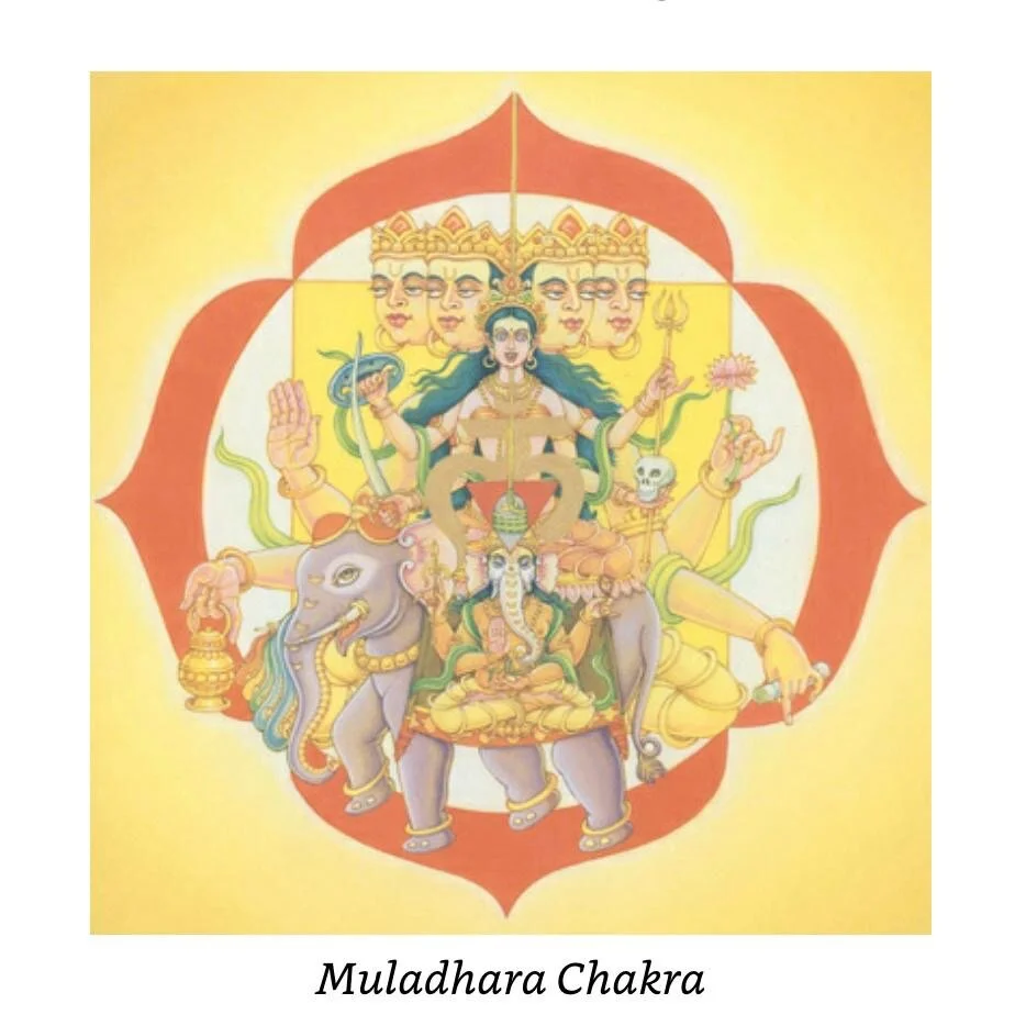 The Feelings of Opening my Root Chakra