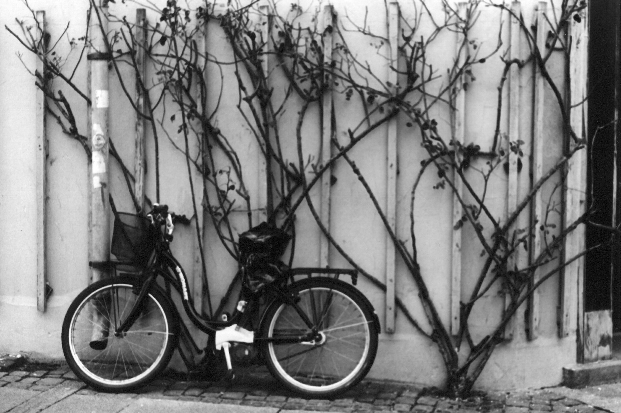 4 cph bw bike vine.jpg