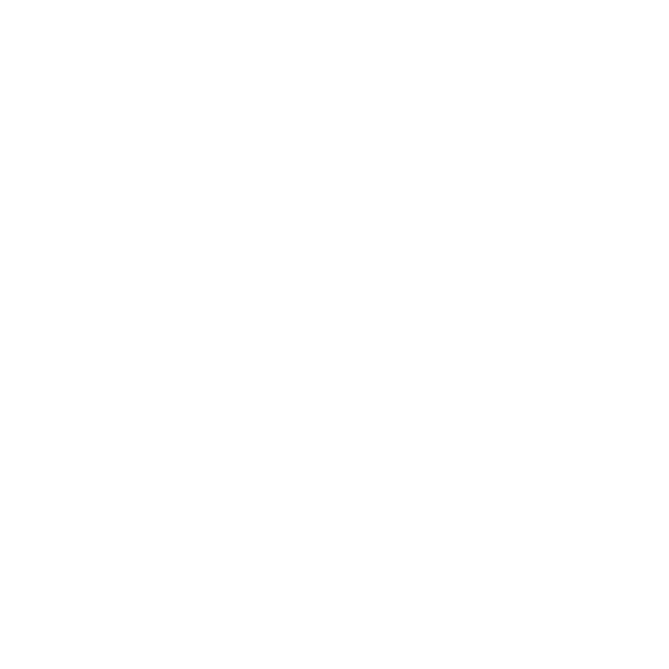 Fords Gin.png