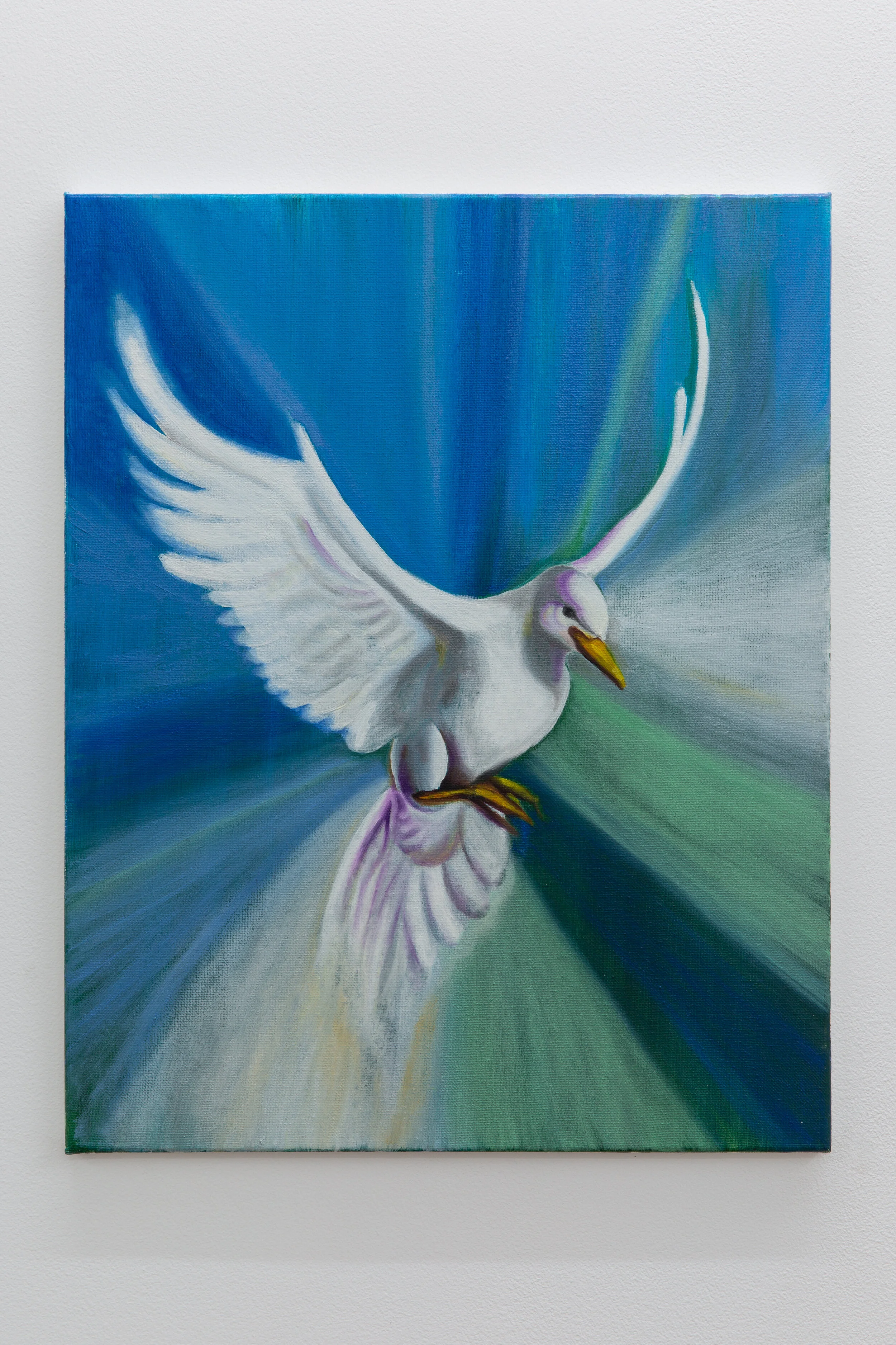  Bora Akinciturk  Release Dove  Oil on canvas  50cm x 40cm  2020 