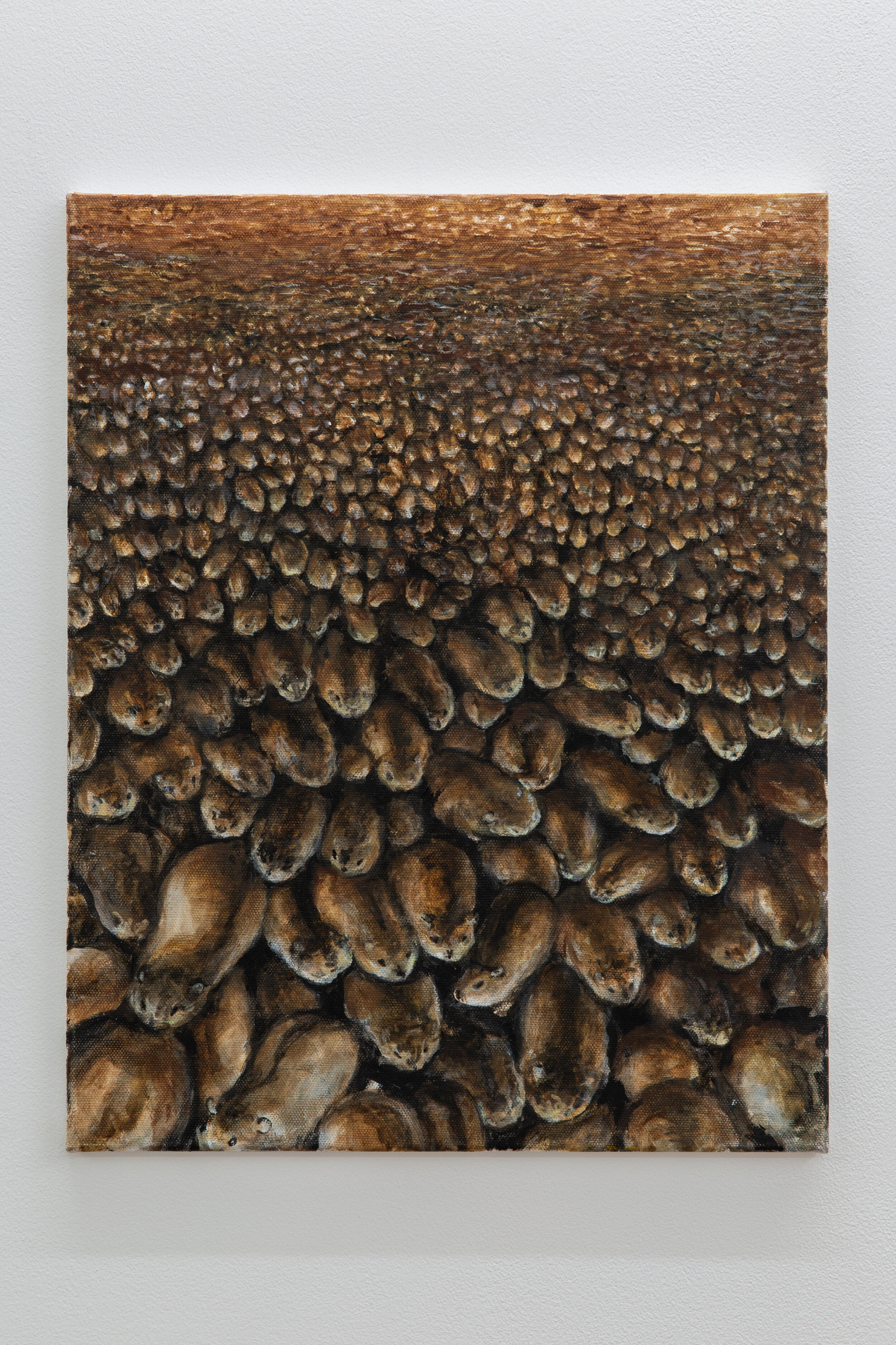  Robert Hawkins  Millions of Migrating Lemmings  Oil on canvas  50cm x 40cm  2020 
