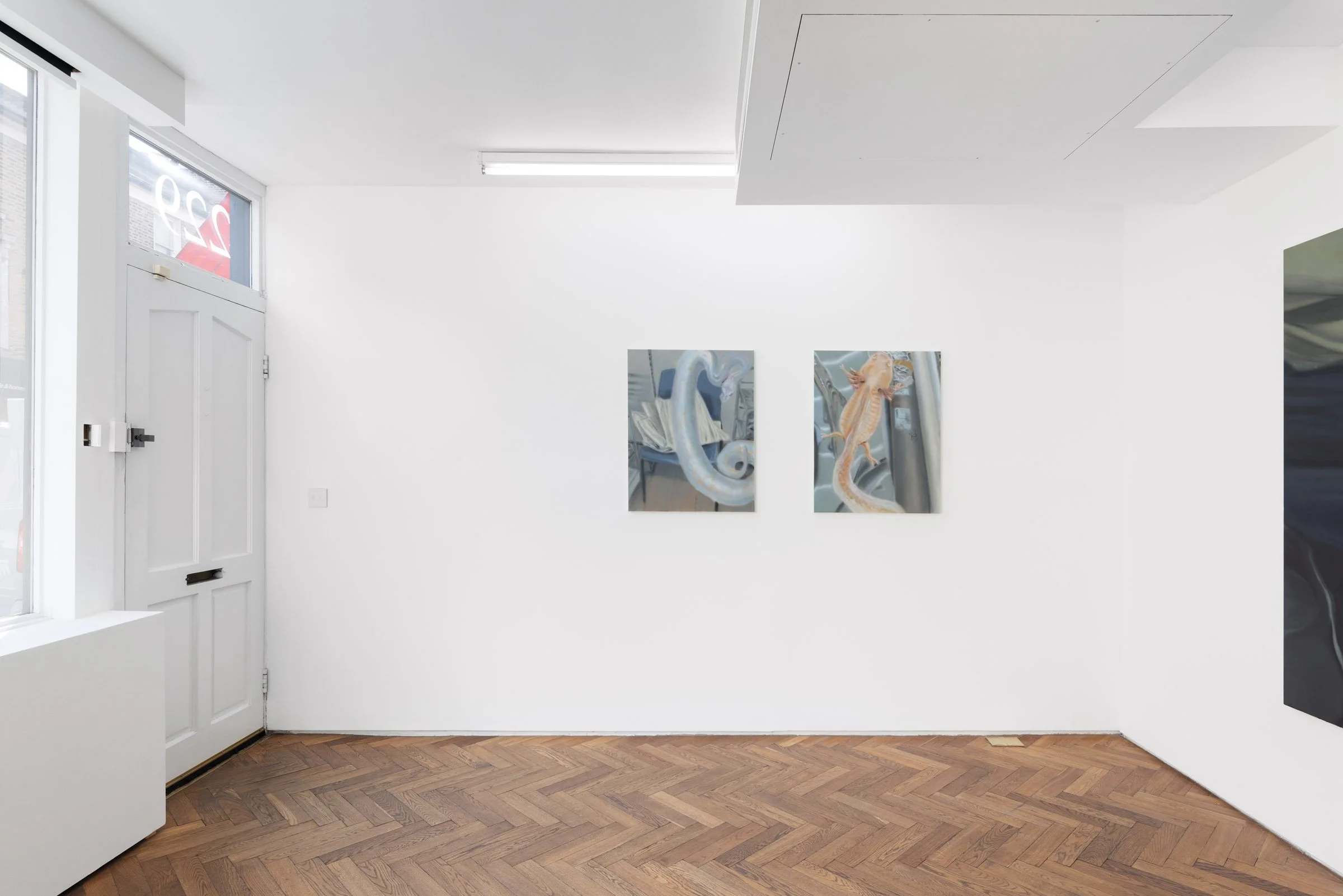  Installation view 