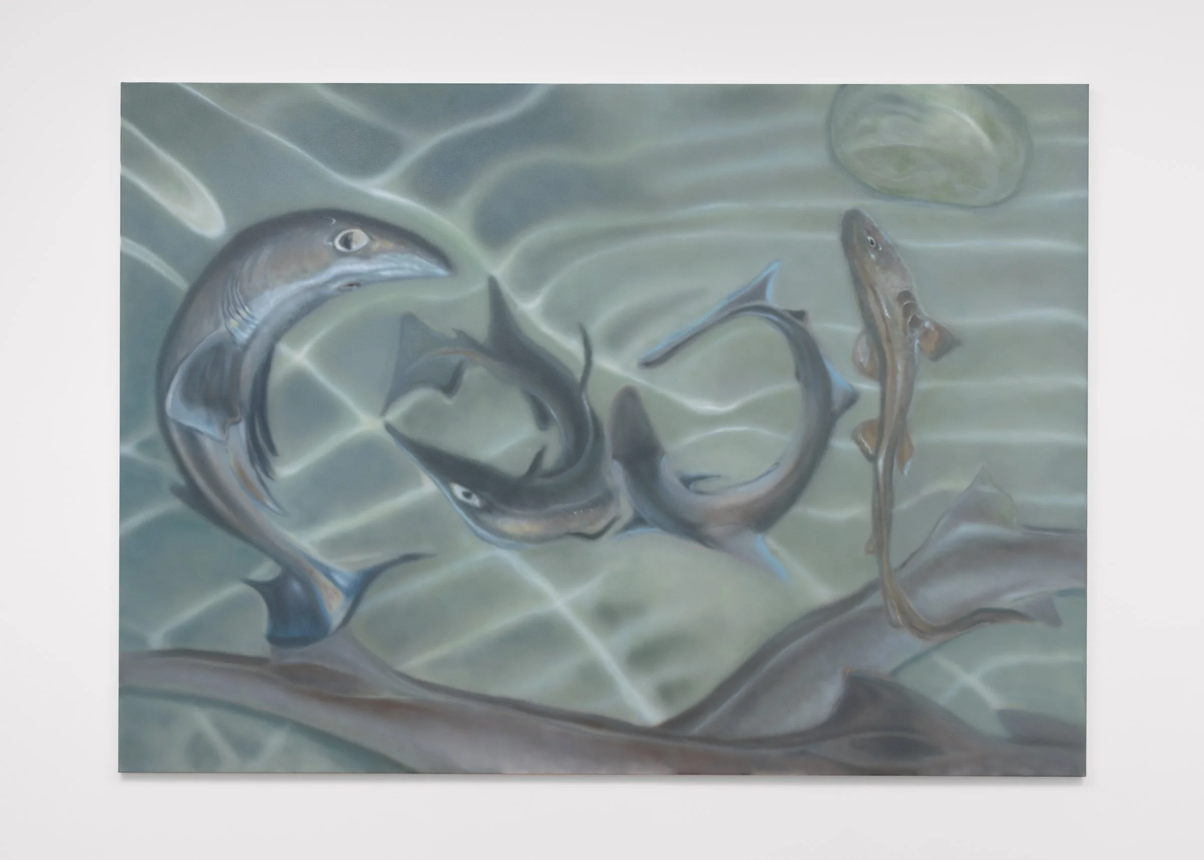  Jack Jubb,  Dogfish Painting , acrylic on canvas, 152.4cm x 213.4cm, 2022 