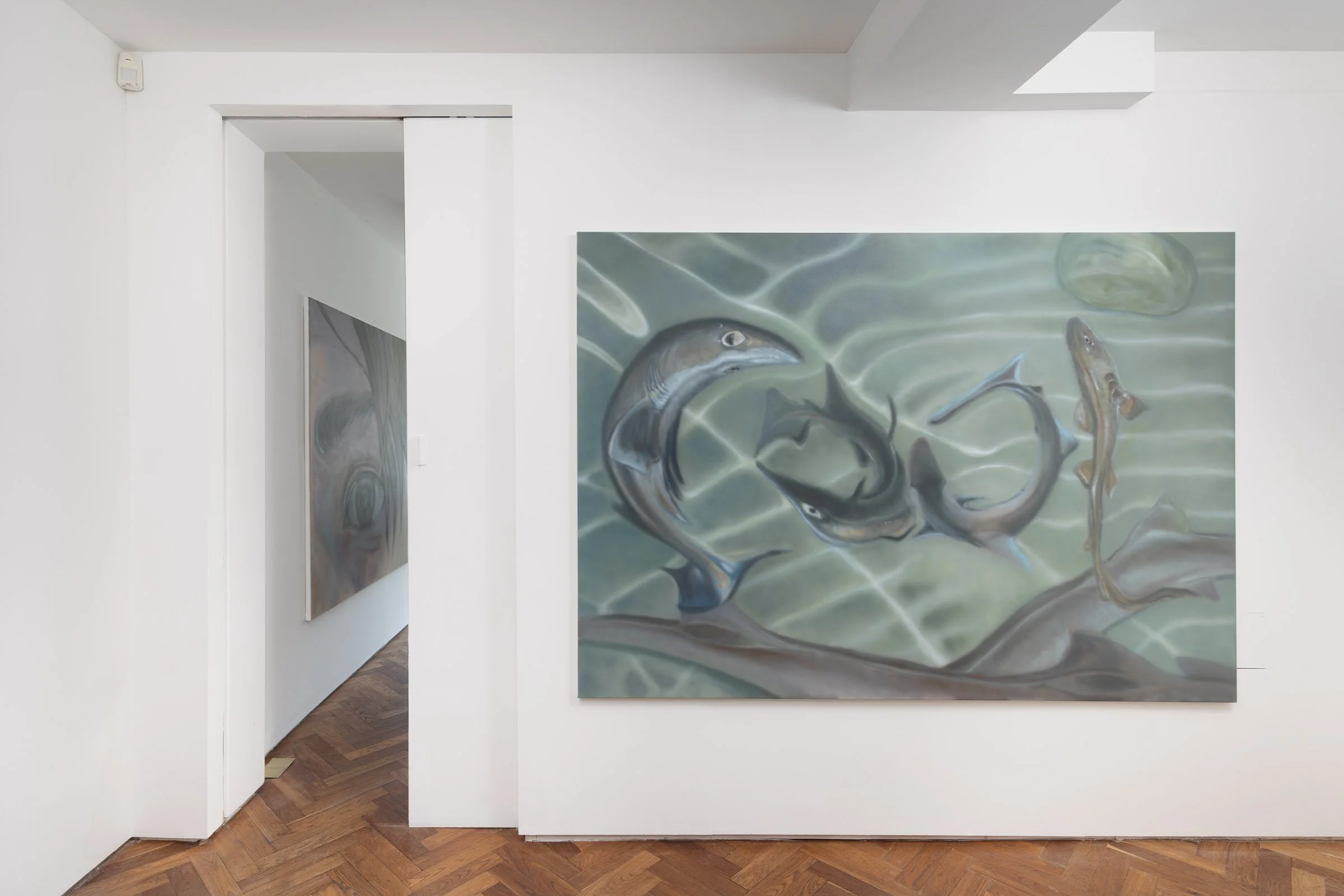  Installation view 