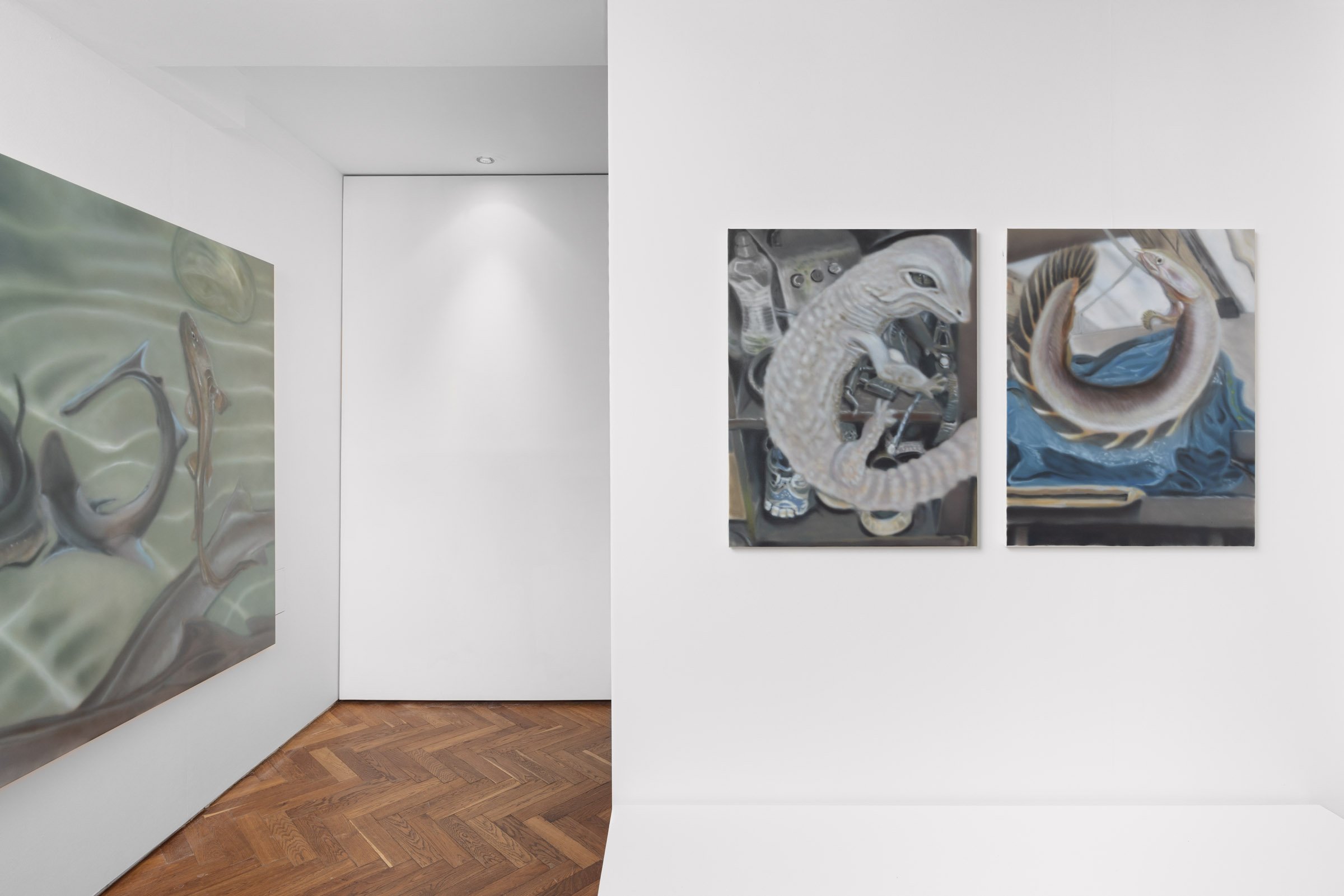  Installation view  Photography credit: Stephen James 