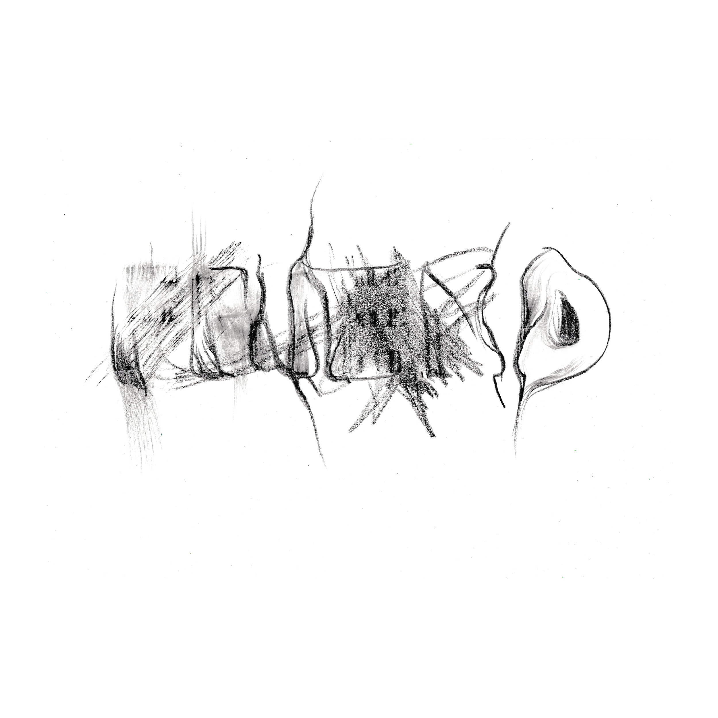 FUND 06