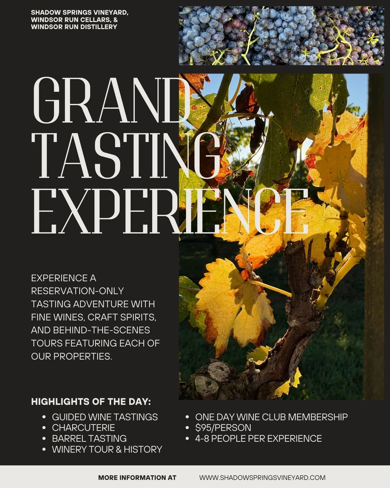 🍷 The Grand Tasting Experience 🍷
Spend your Saturday afternoon diving deeper into the best of Shadow Springs, Windsor Run, and our distillery. Enjoy a guided tasting with premium Riedel glassware, behind-the-scenes tours, and hand-selected wines an