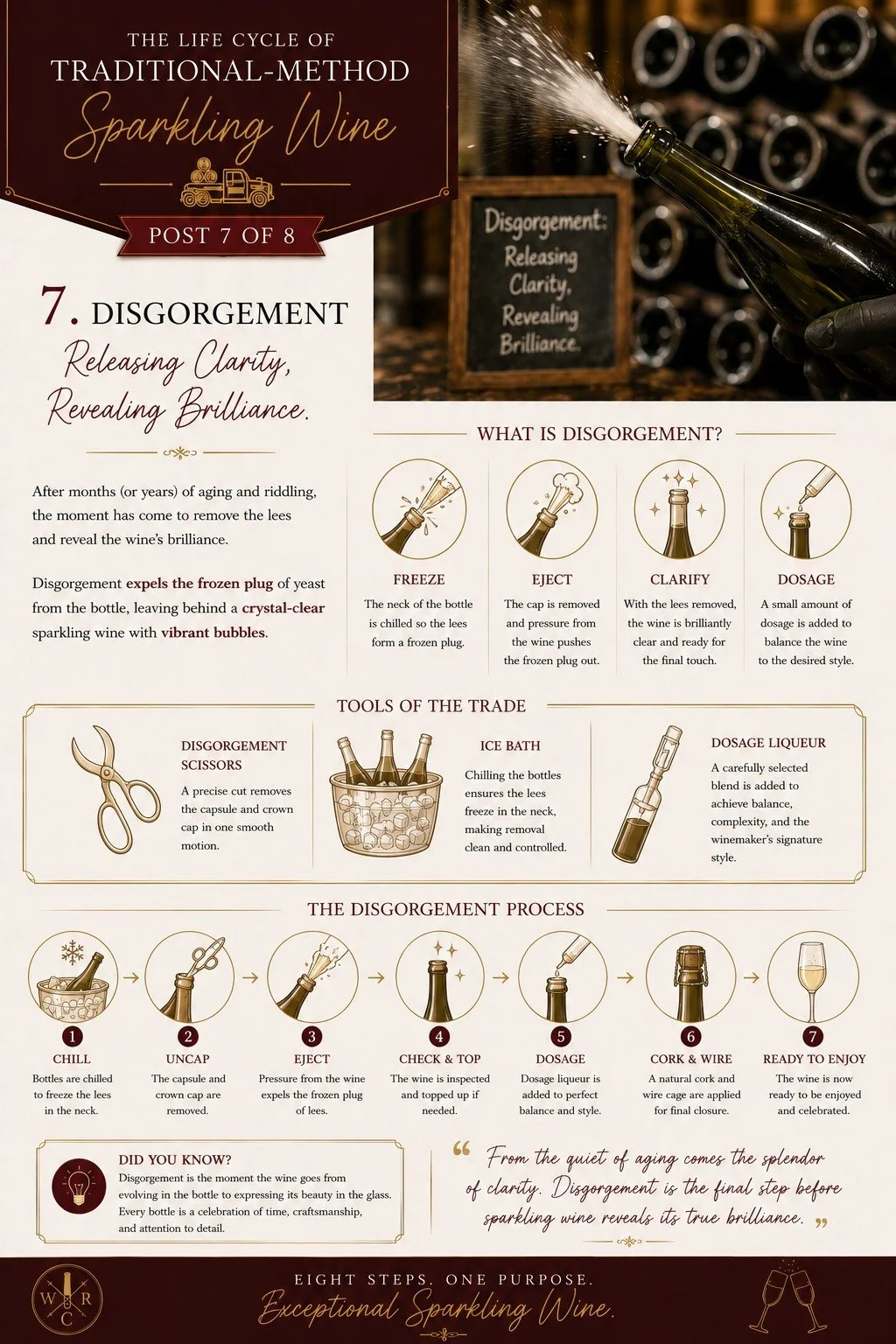 The Life Cycle of Traditional-Method Sparkling Wine &bull; Part 7 of 8

The journey from grape to sparkling wine continues. In Part 7, the wine reaches disgorgement, one of the most satisfying moments in the traditional method. After months or even y