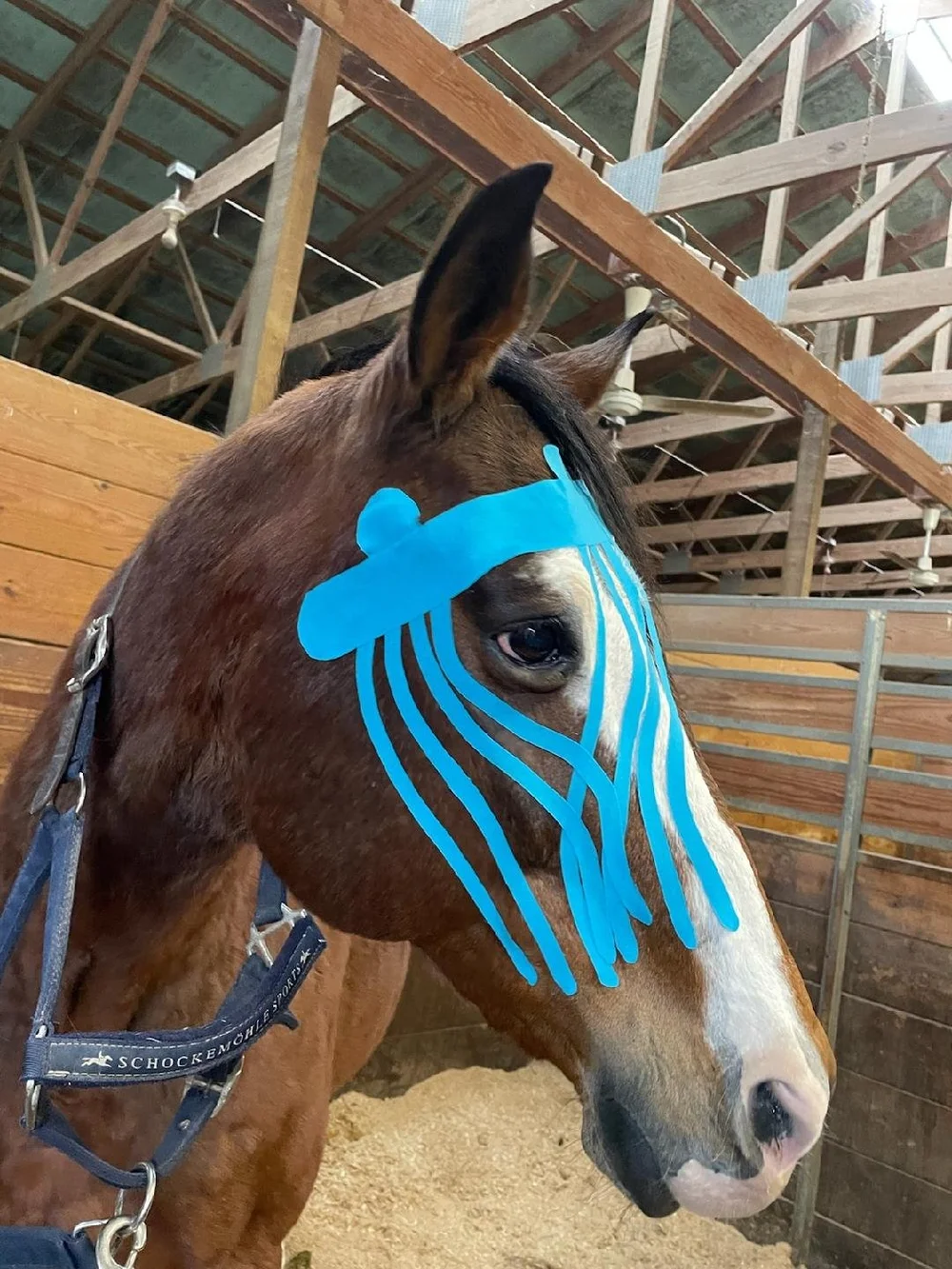 CNM taping eye1.jpeg