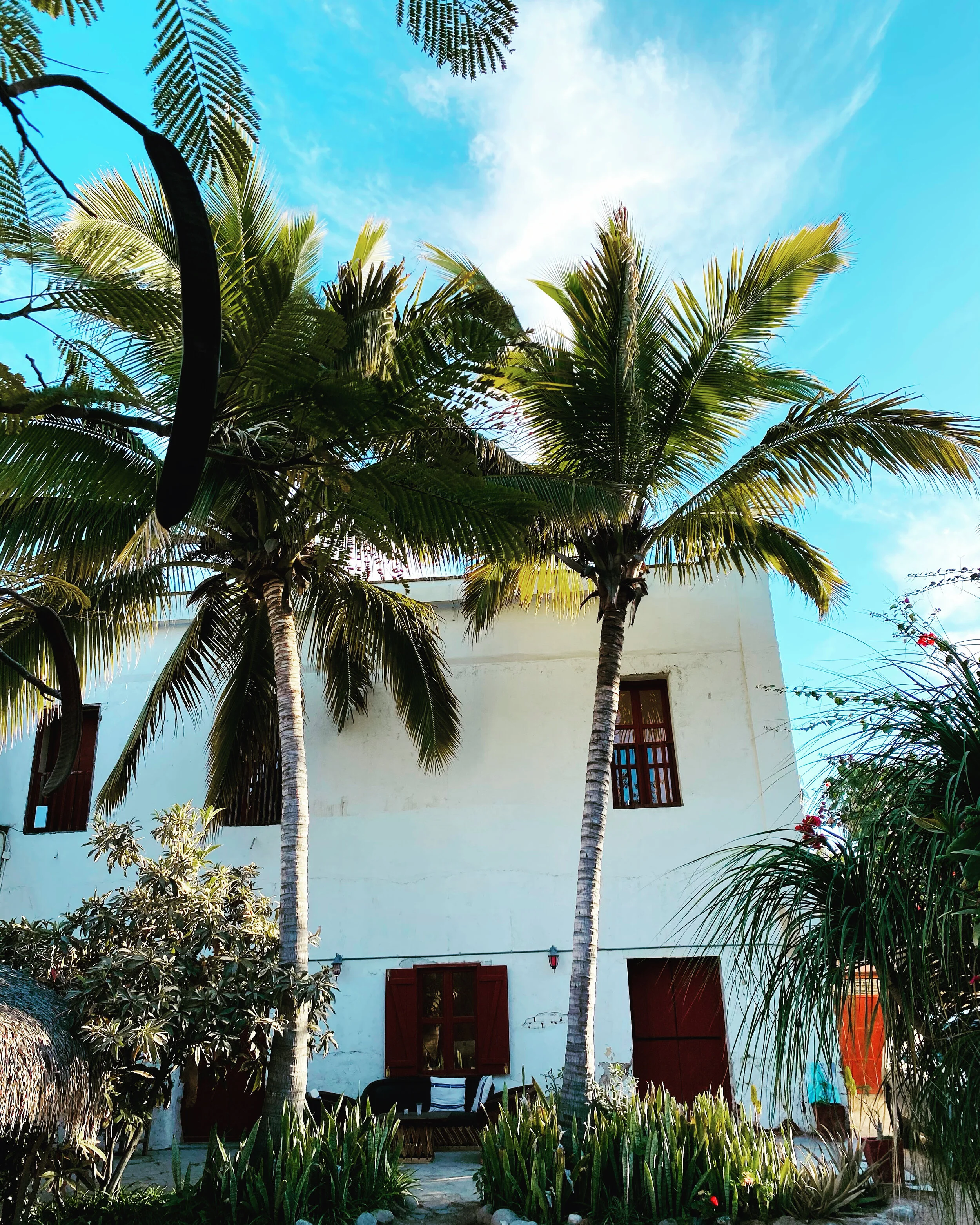 the courtyard at Casa Dracula