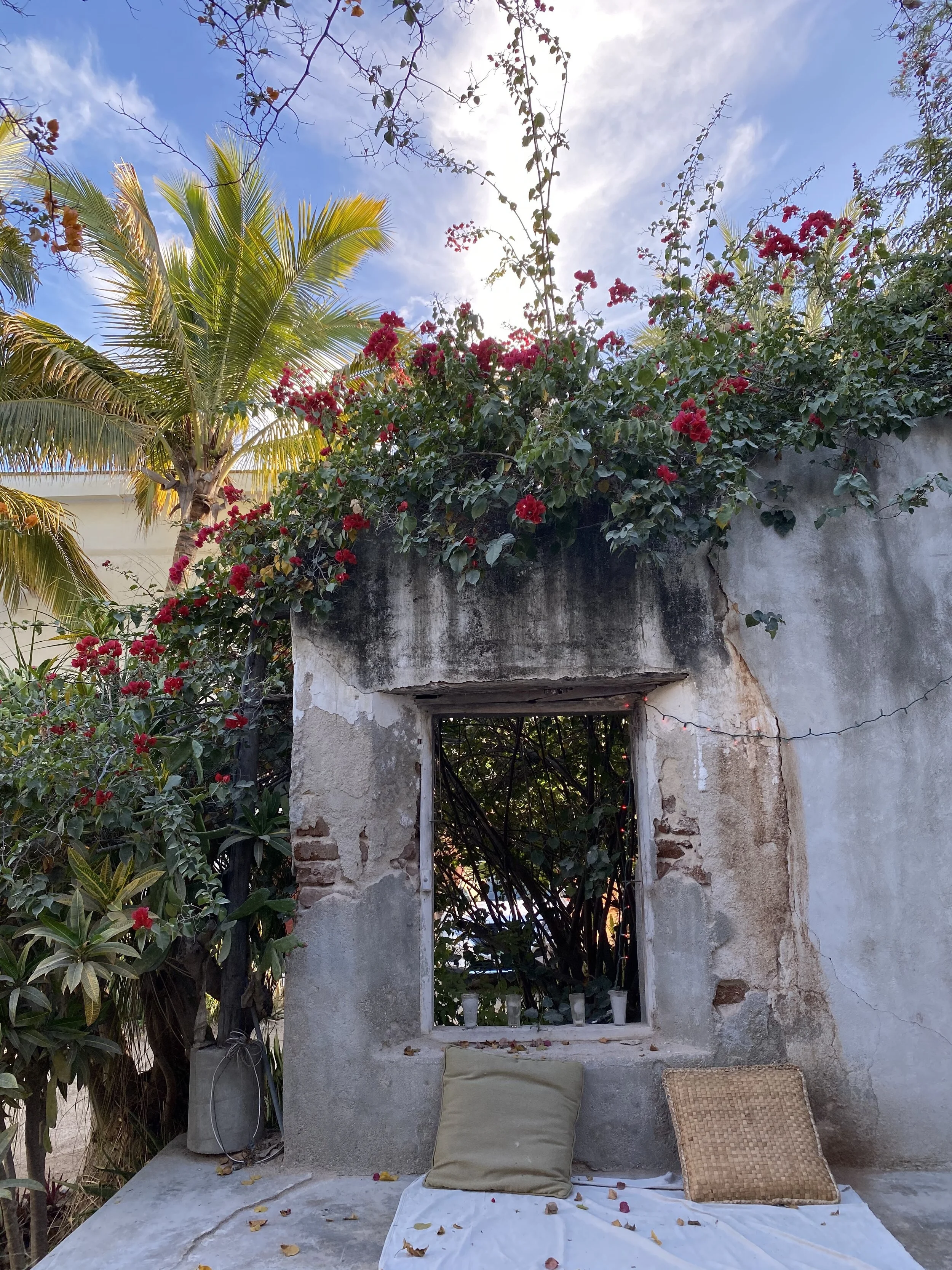 the solarium at Casa Dracula was a fav for stargazing