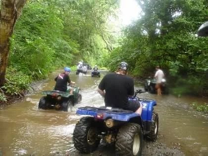 00-4guiunxfDaQFv0XMcv2UbTCRBAv0uOqyneVwT43y7v8BqjZCpKcieF0H6SInGQo7.jfif