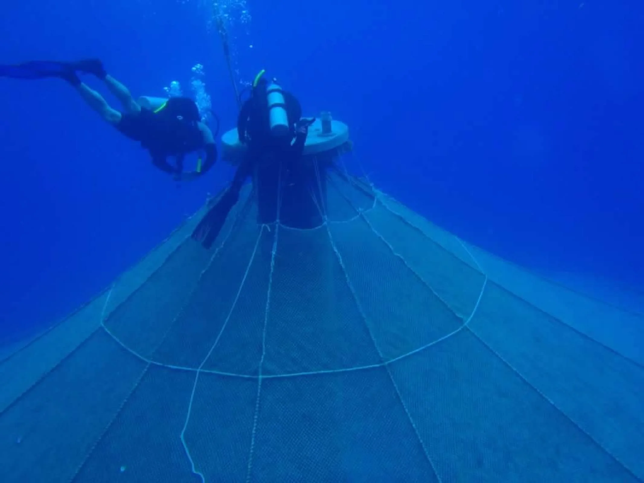 00-4guiunxfDaQFv0XMcv2UbTCRBAv0uOqyneVwT43y7v8KkpFkZTwH0VJRkR3EBUAF.jfif