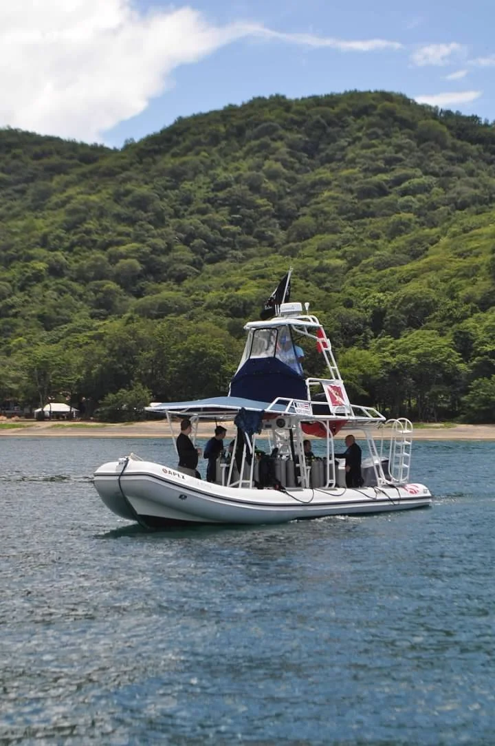 00-4guiunxfDaQFv0XMcv2UbTCRBAv0uOqyneVwT43y7v8iG_xVnHQof4DtCRPafVCV.jfif