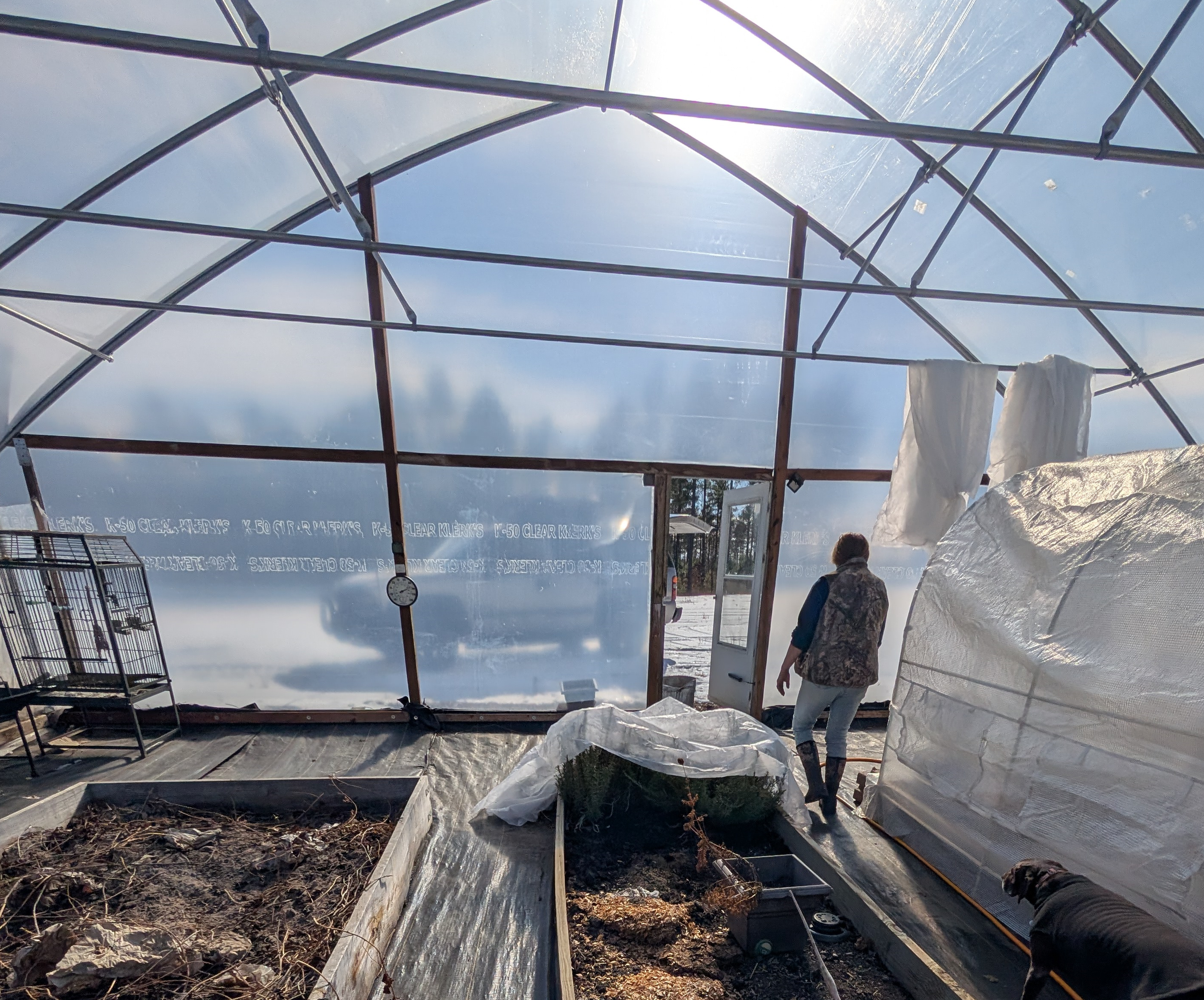 Bio-Dome spring Start up 