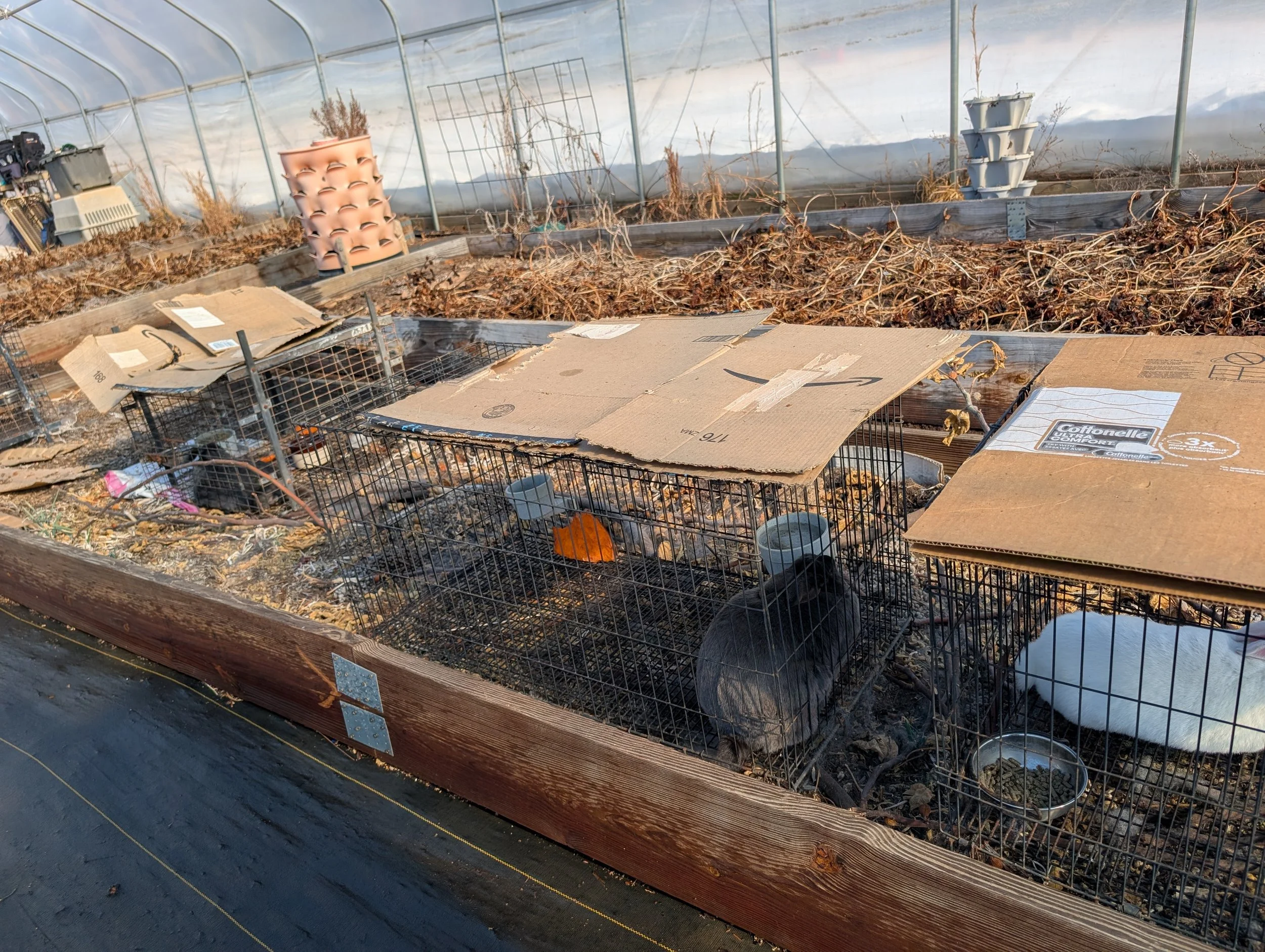 1000042882 (1) - Copy.jpg