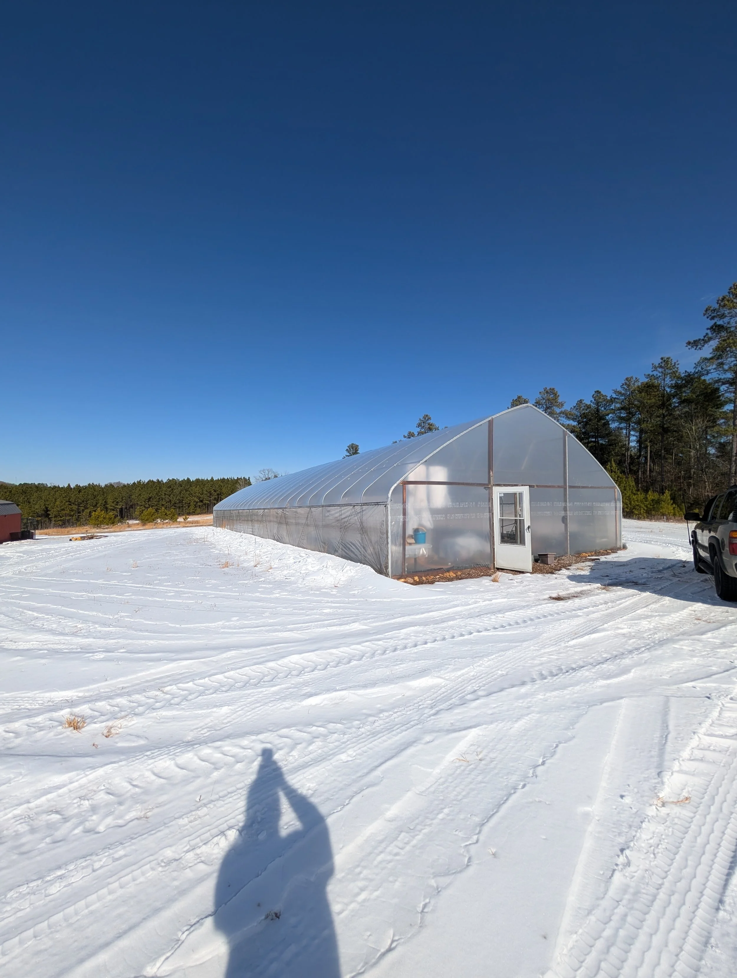 1000042890 (1) - Copy.jpg