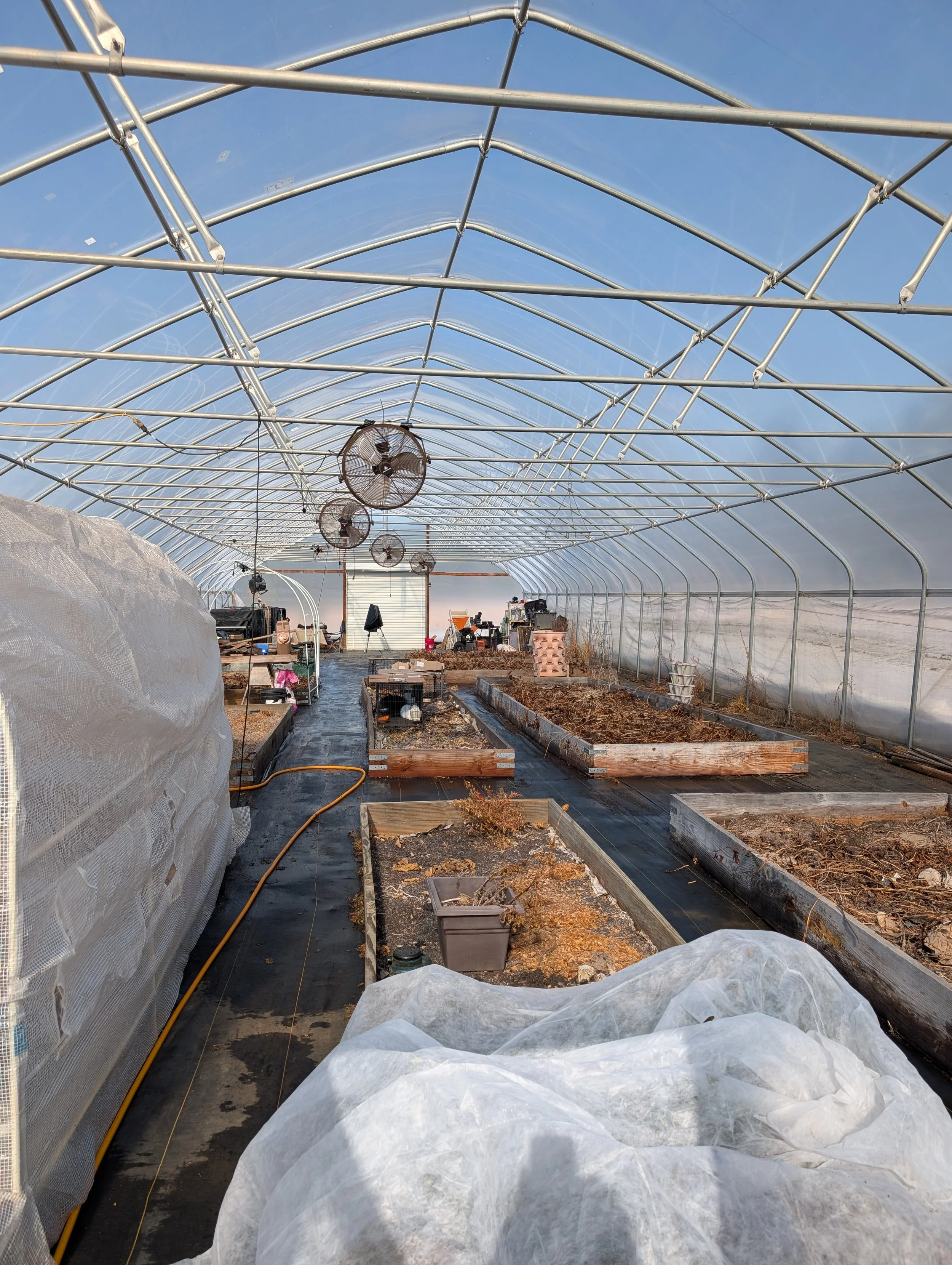 1000042879 (1) - Copy.jpg