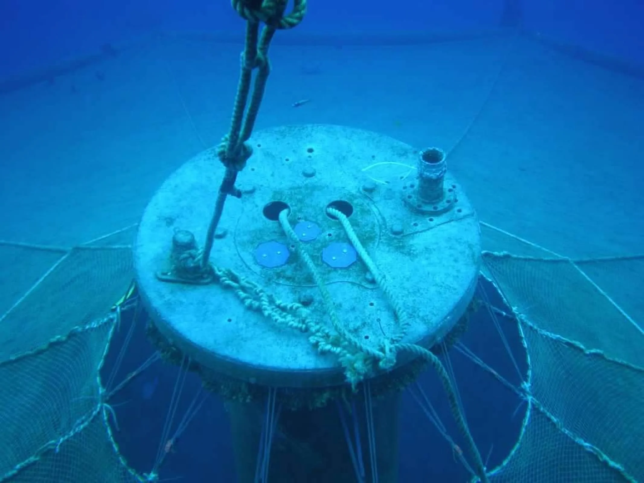 00-4guiunxfDaQFv0XMcv2UbTCRBAv0uOqyneVwT43y7v_K1X73AMnd7W2otsag-WFN.jfif