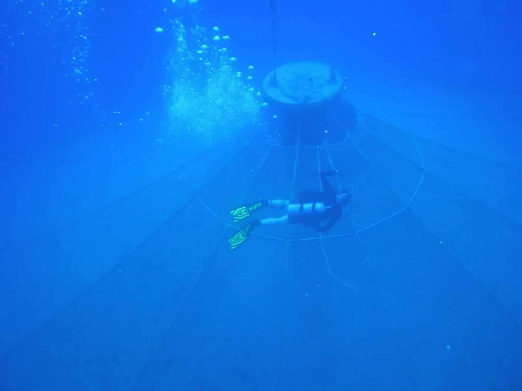 00-4guiunxfDaQFv0XMcv2UbTCRBAv0uOqyneVwT43y7v_0KFOpewdJyy_i_GaIKqdA.jfif