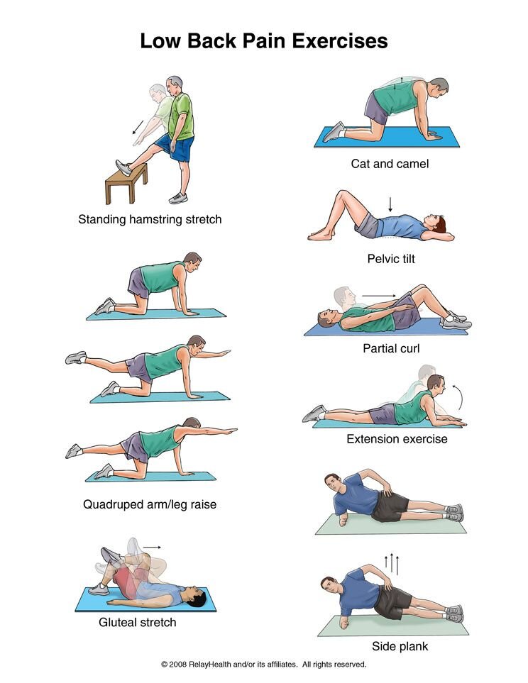 Low back exercises — Knotry