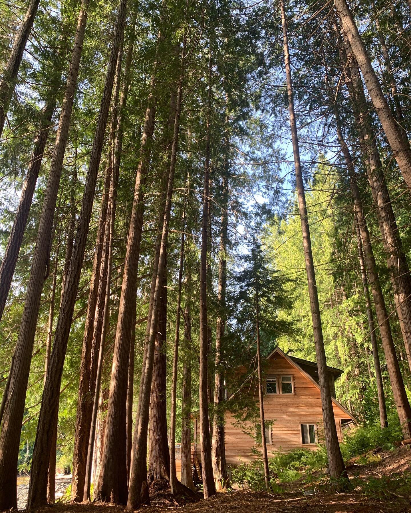 SECRET HIDEAWAY - This enchanted cabin hidden in the woods is finally getting all her finishing touches. I&rsquo;ve waited a long time to fine tune the imperfections &amp; shine the brass on this strikingly beautiful &amp; ever-evolving pocket of won