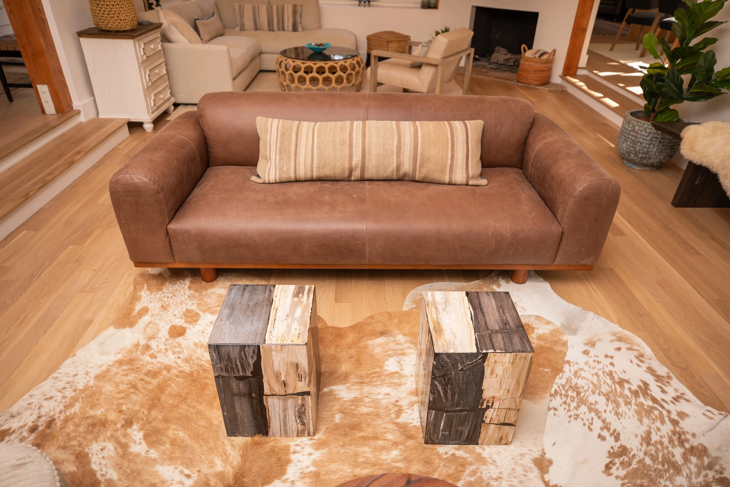 RobertGuy_LR_Lounge_LeatherSofa_PentrifiedTables_Hide.JPG