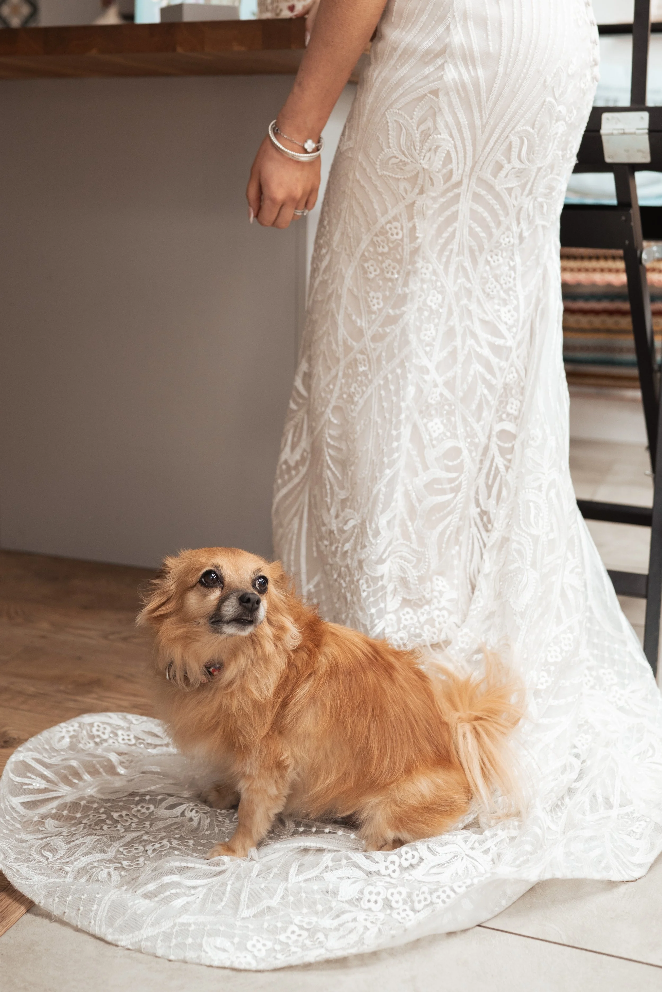 Arundel Town Hall Wedding