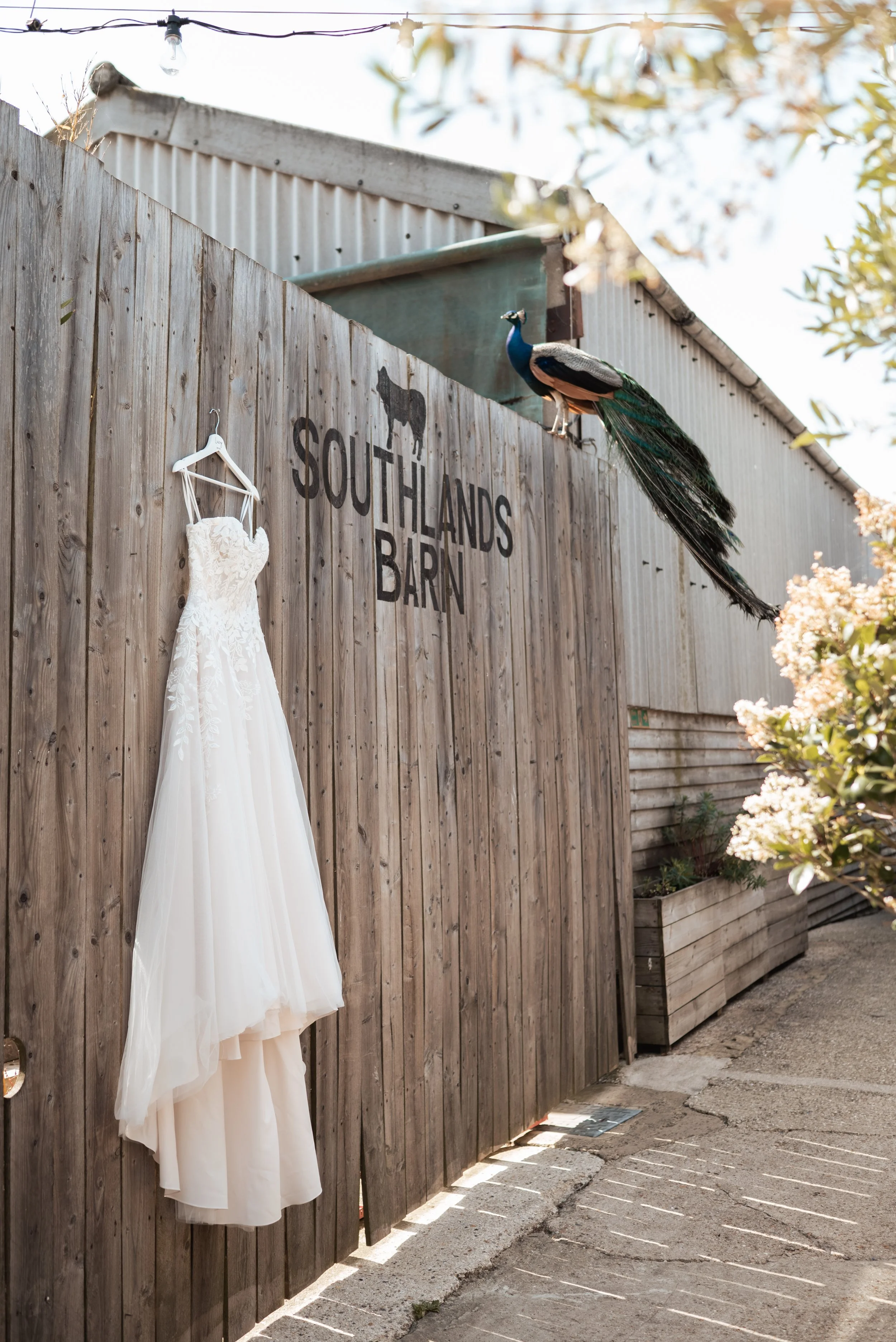 Southlands Barn Wedding
