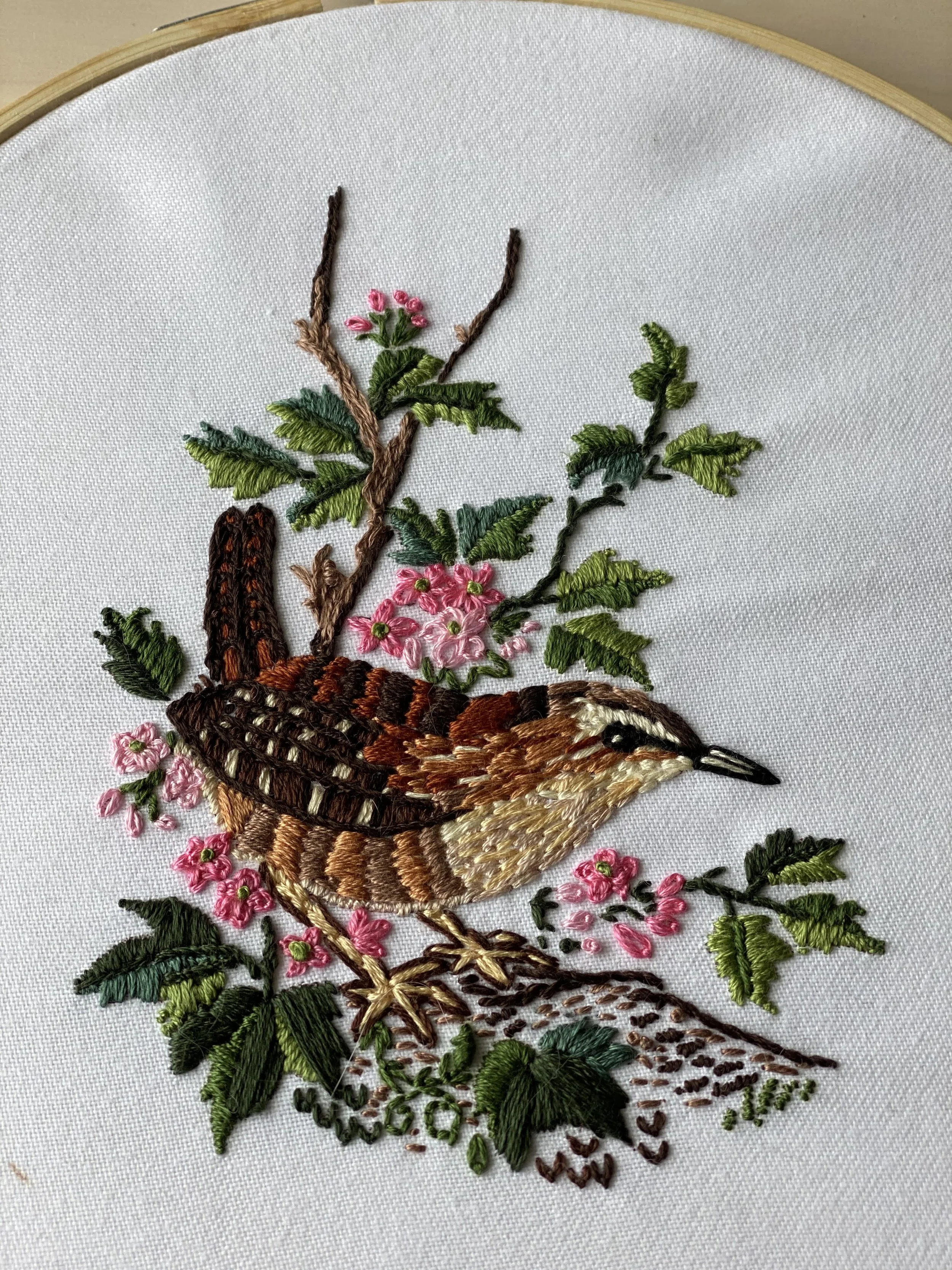 Embroidered Wren