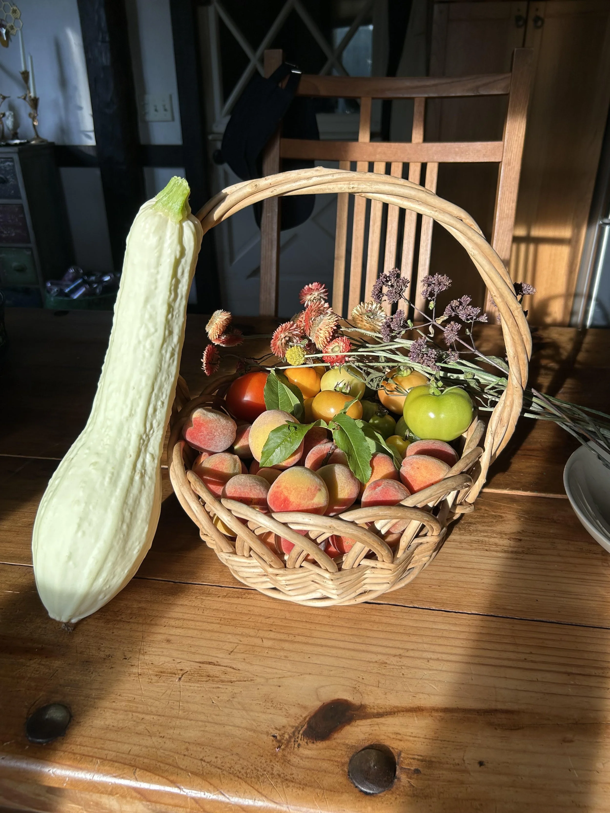Squash and Fruit in Golden Hour - Marketing Photo