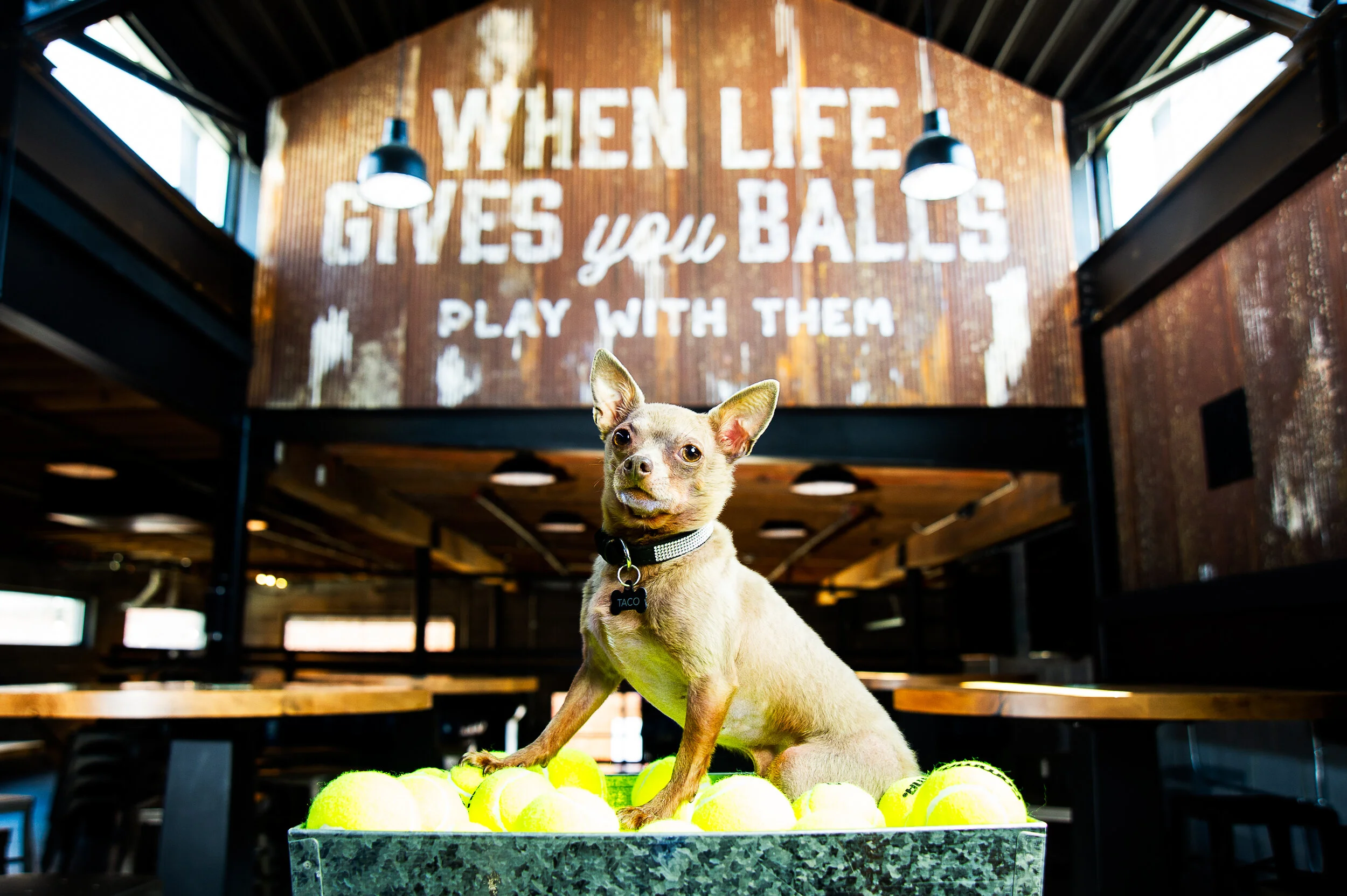 Pins Mechanical Nashville