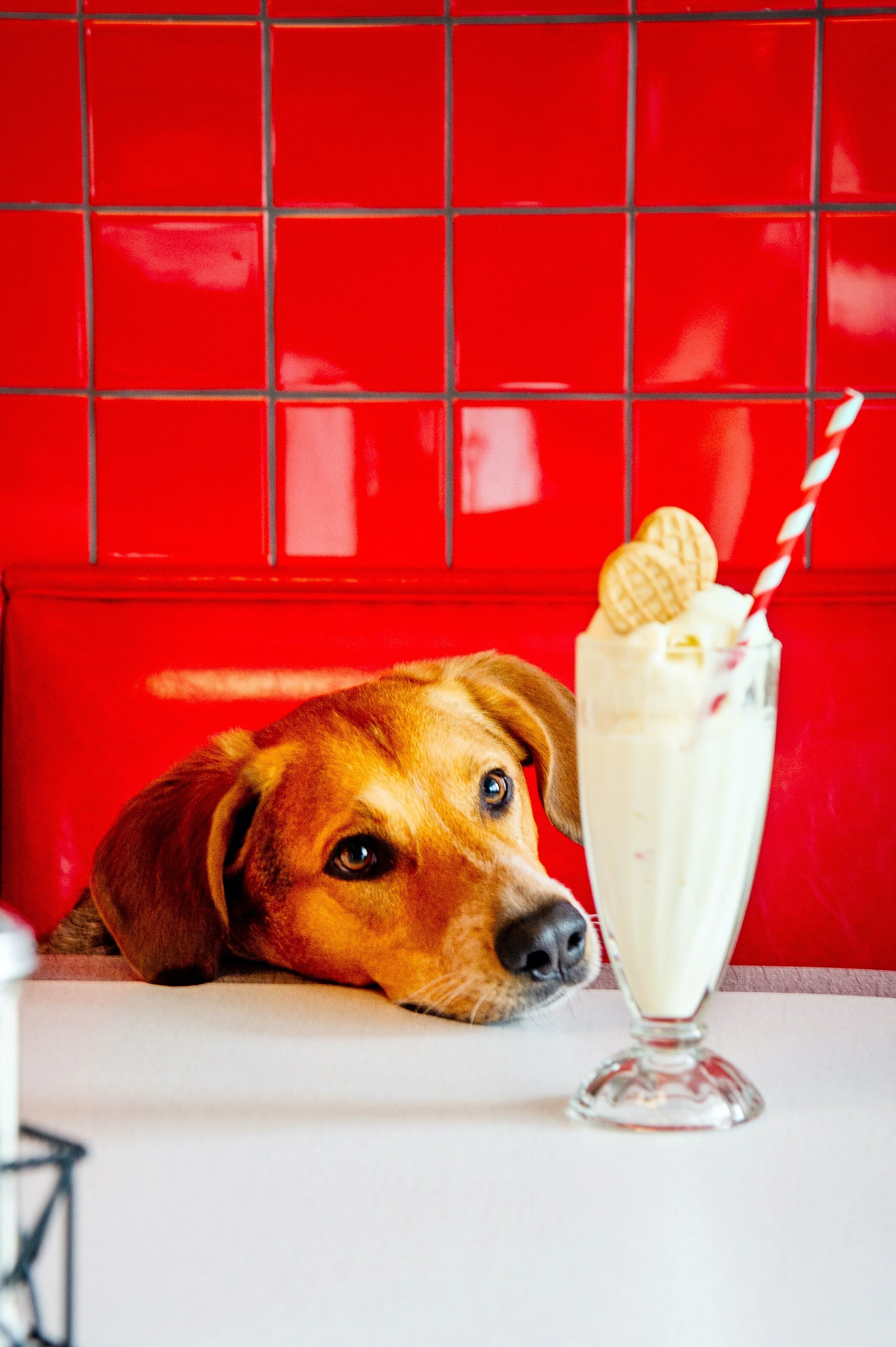 Elliston Place Soda Shop