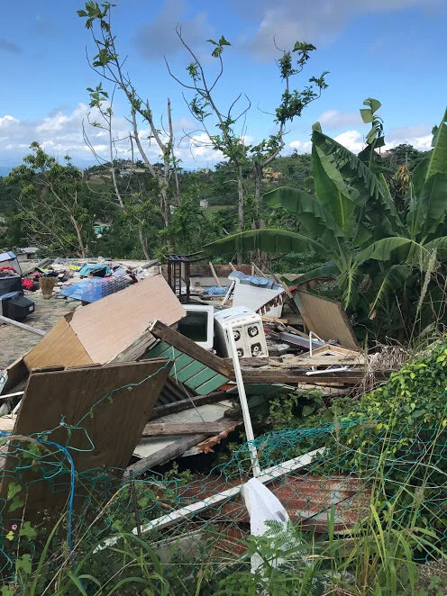 destroyed_house[1].jpg