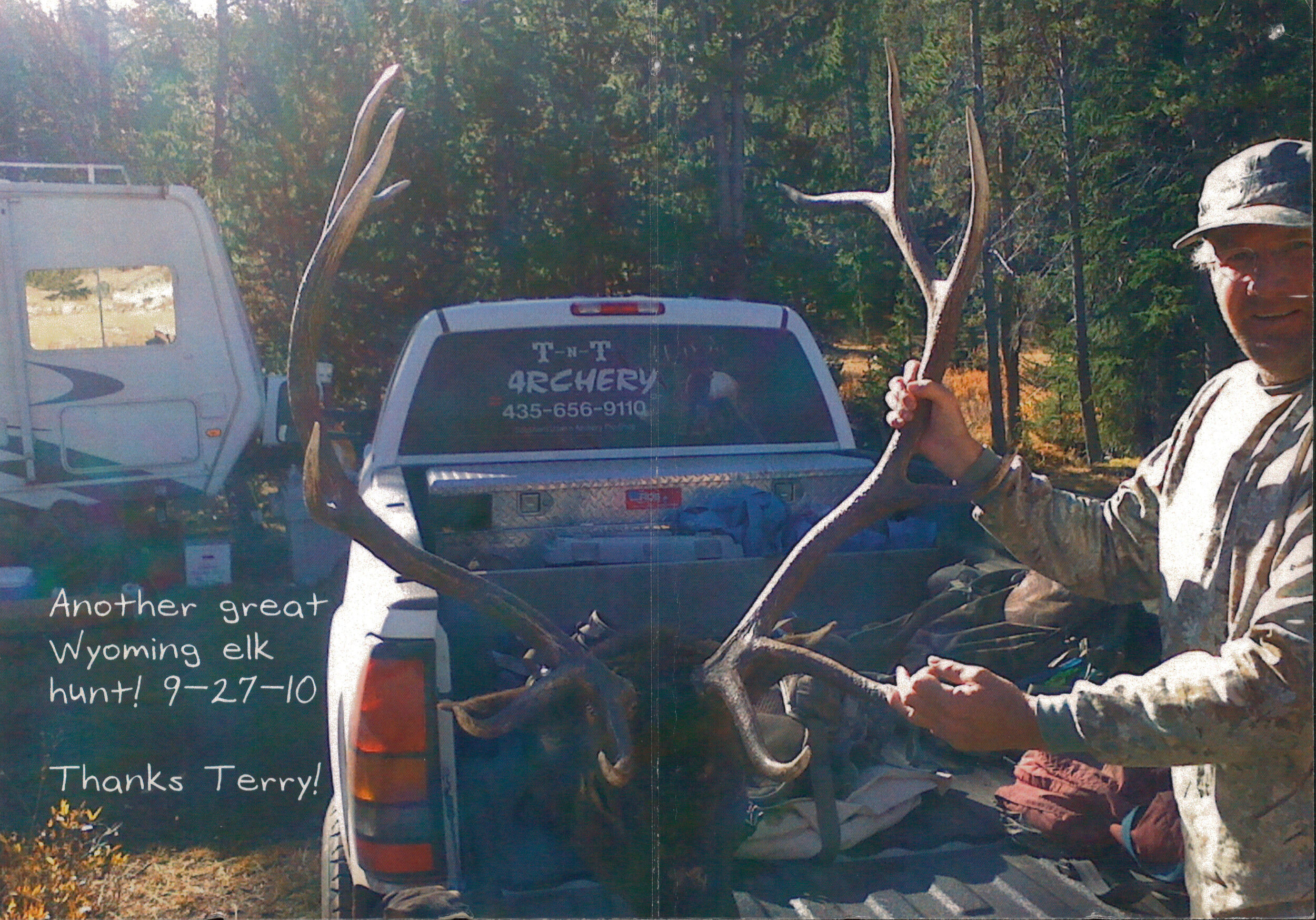 Archery Elk