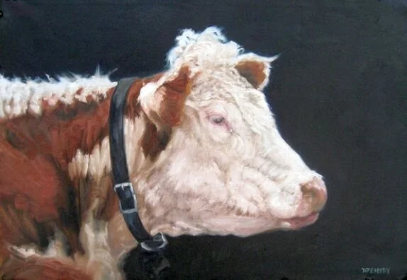 Hereford try 72web.jpg