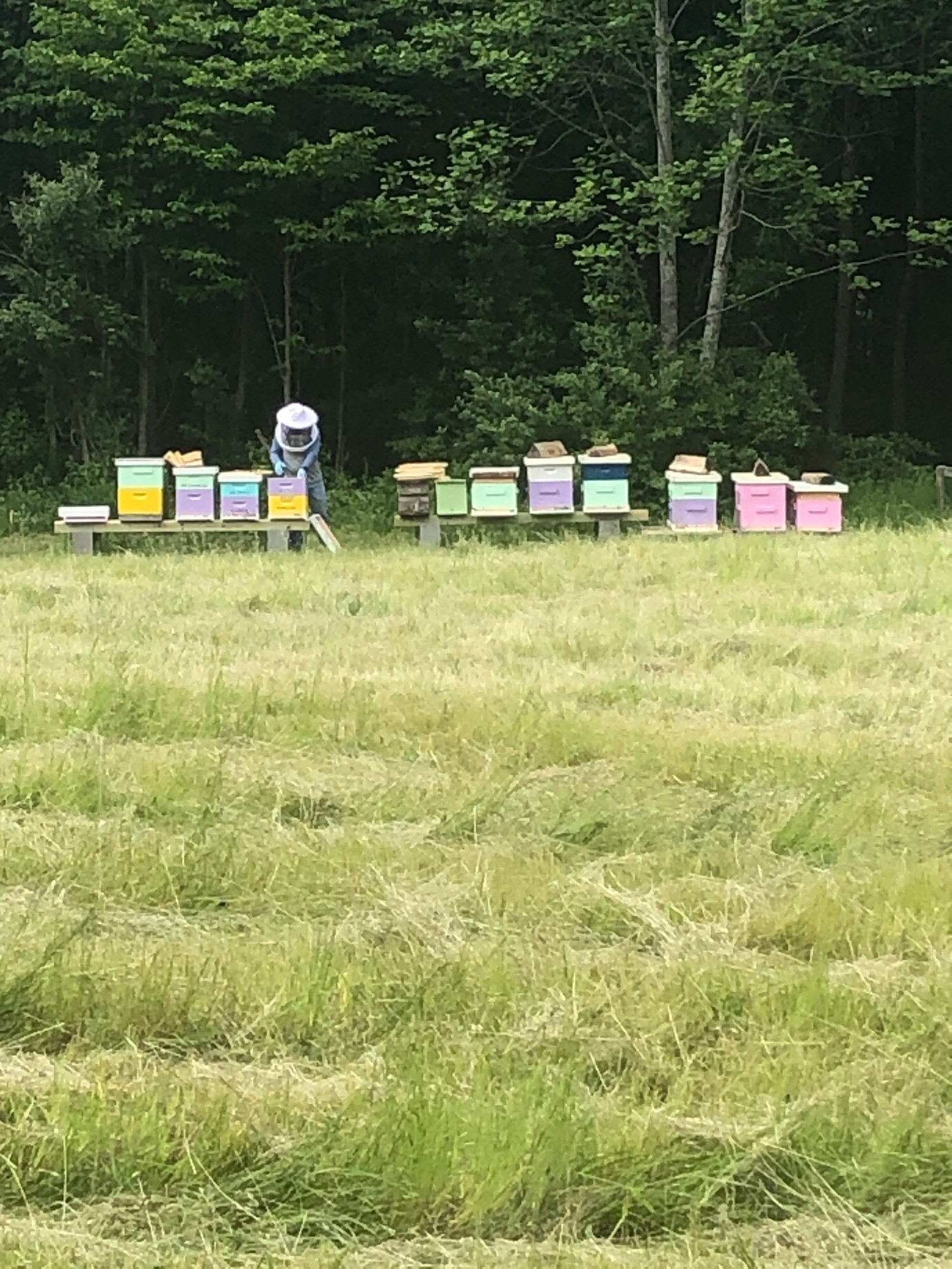 Want to keep bees?