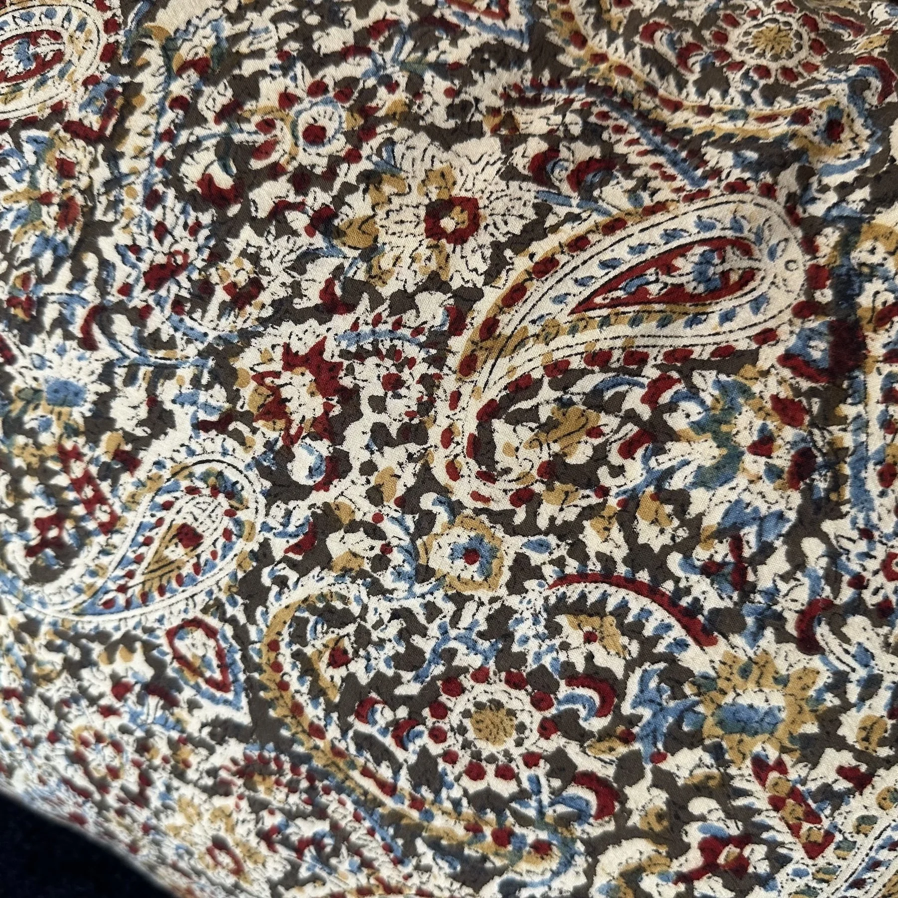Hand Blocked Paisley Pattern  9.jpeg
