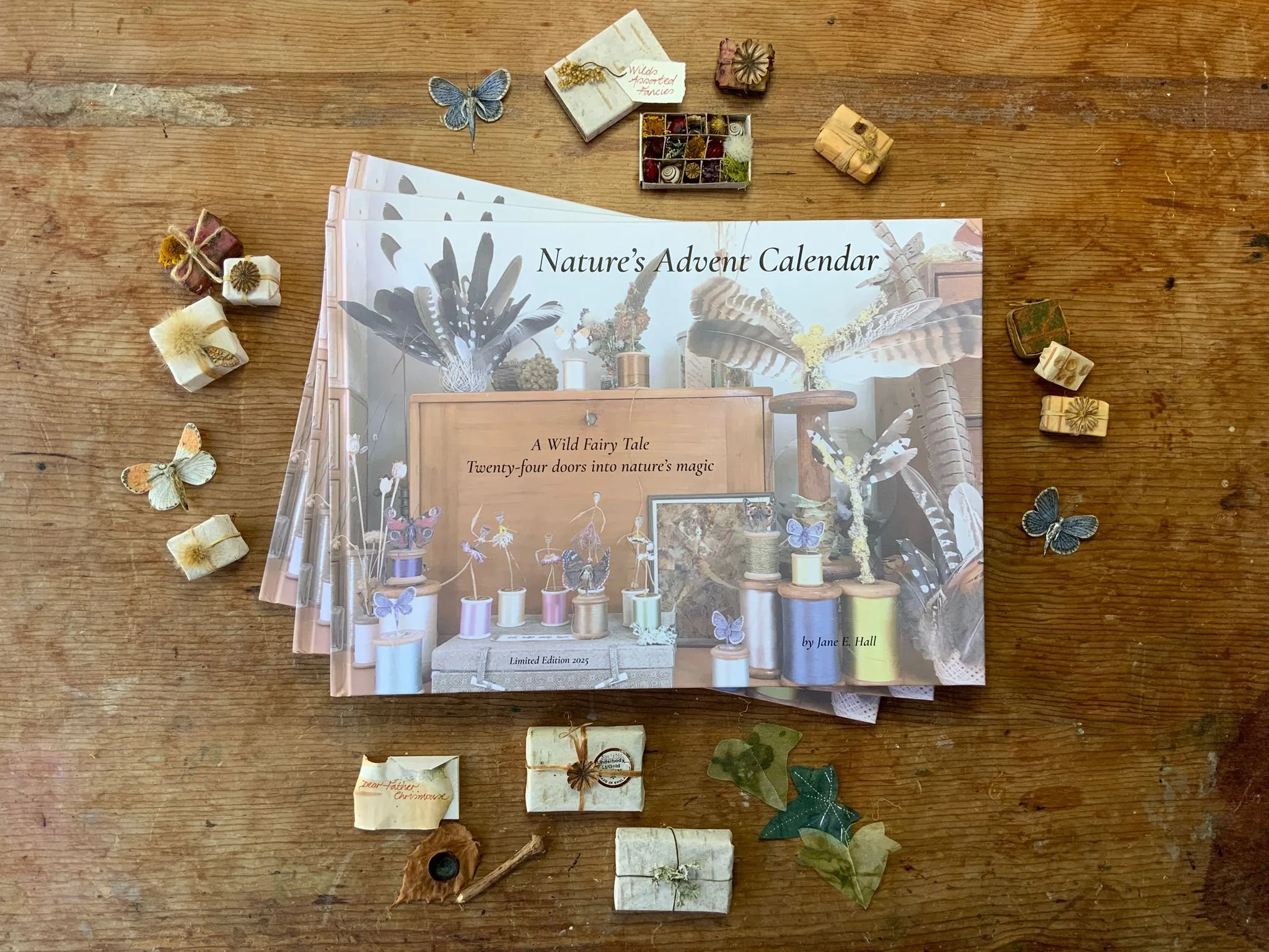 Natures Advent Calender 2.jpg