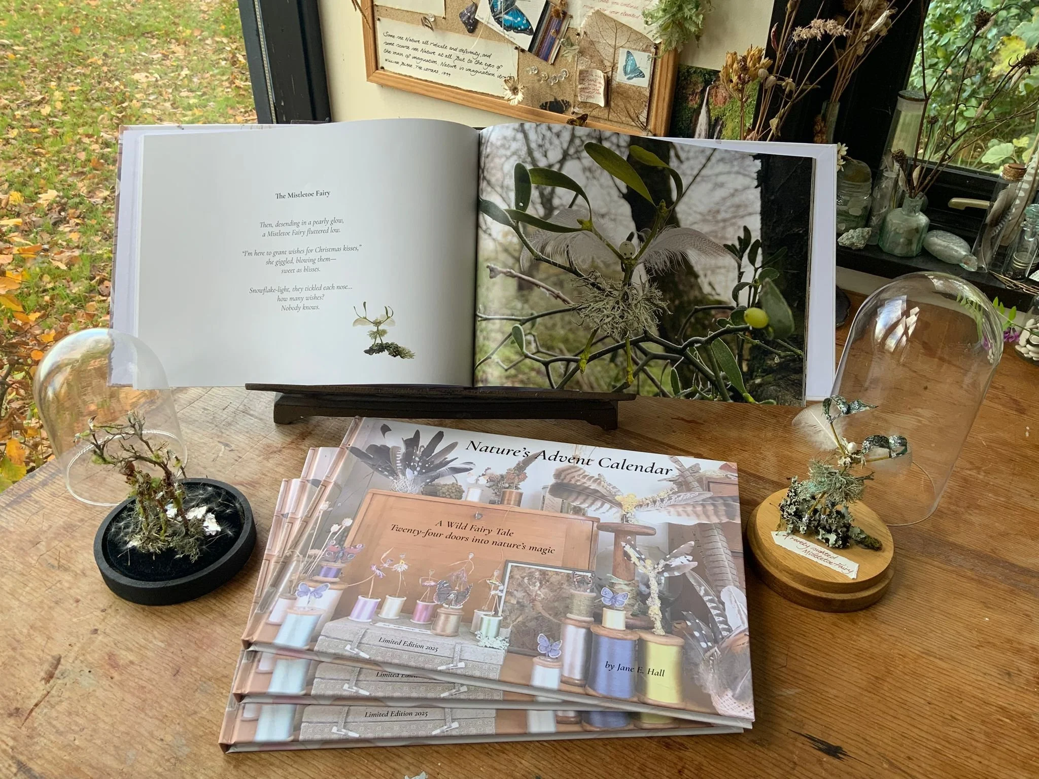 Nature's Advent Calender.jpg