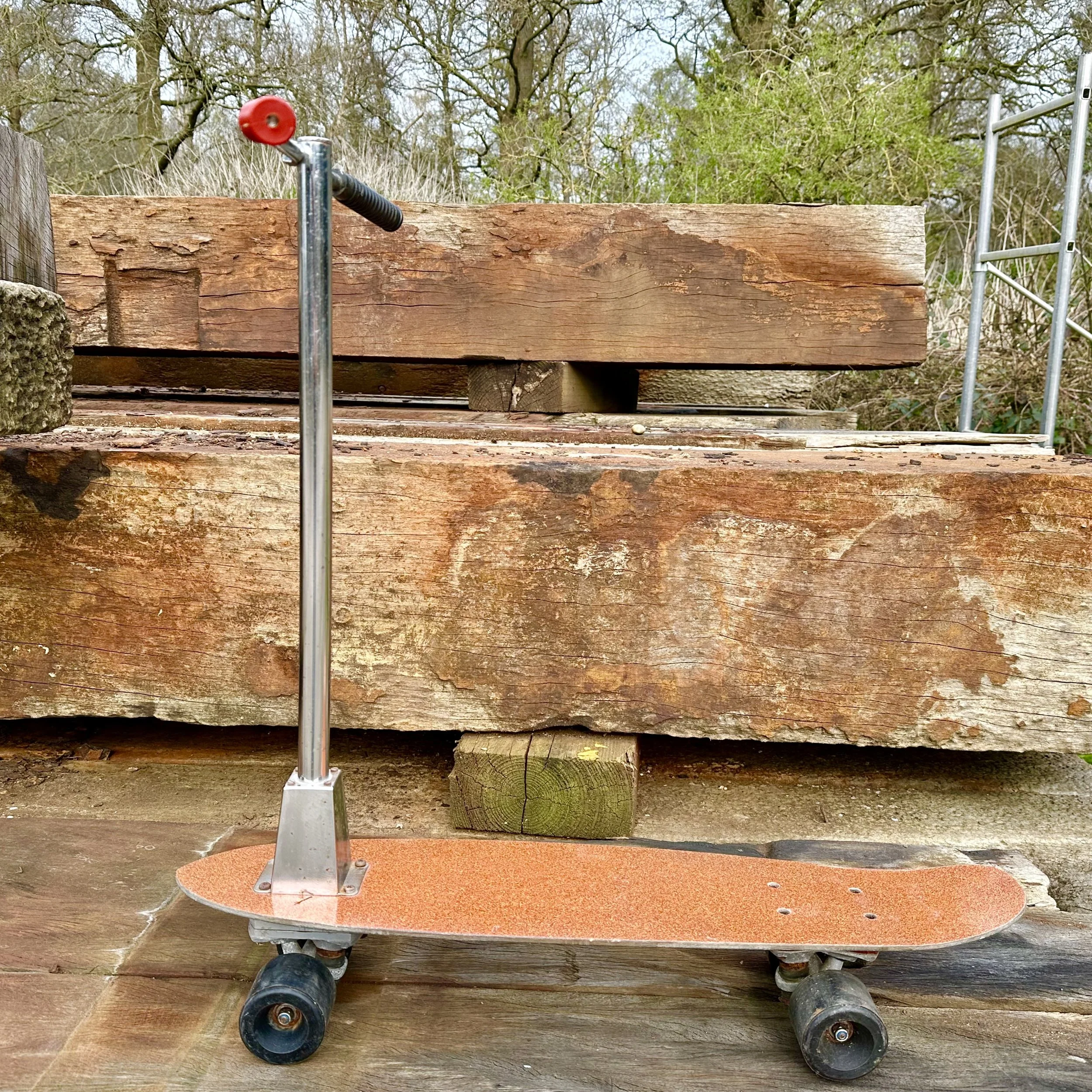 Skateboard Scooter 1.jpeg