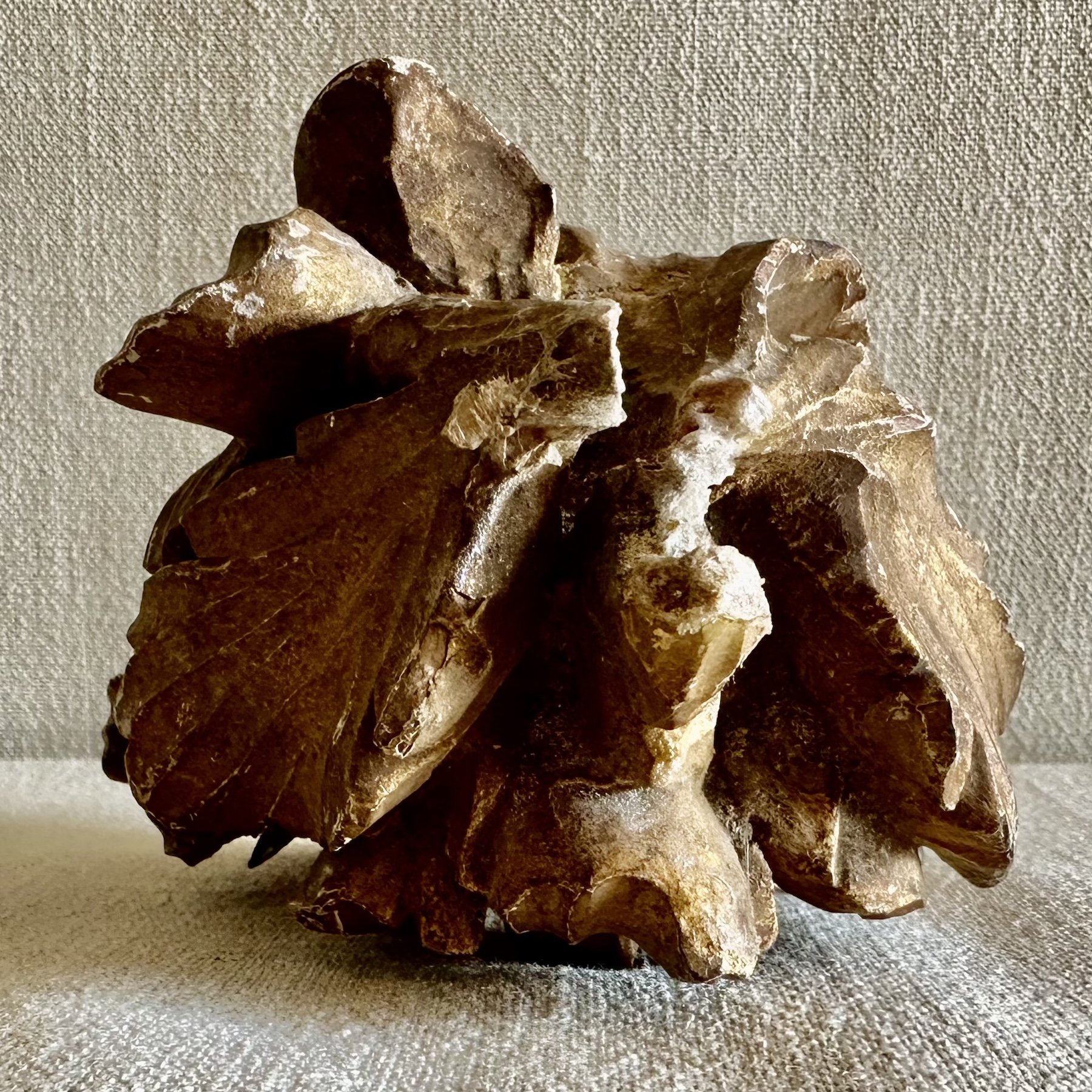 carved wood and gilt architectural fragment 5.jpeg (Copy)