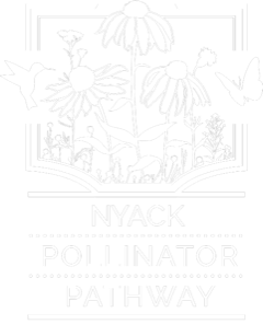 Nyack Pollinator Pathway
