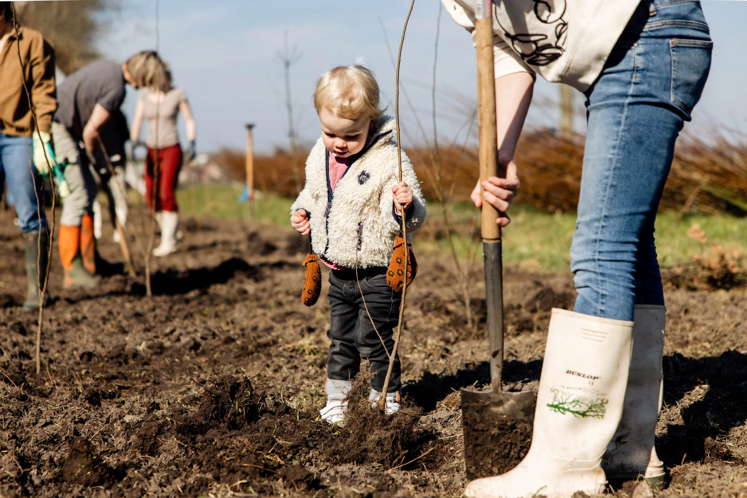 TreesforAll-89.jpg